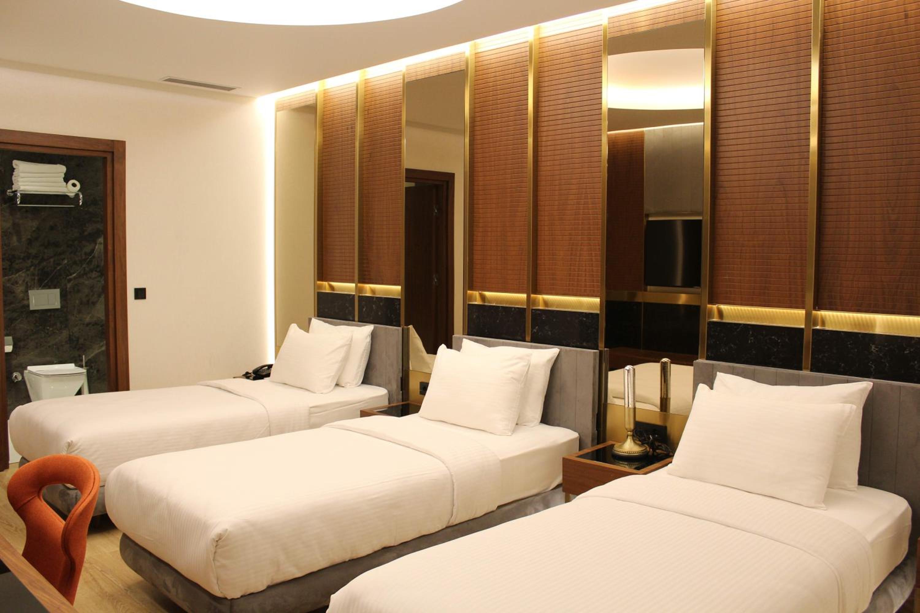 Premier Triple Room photo 2