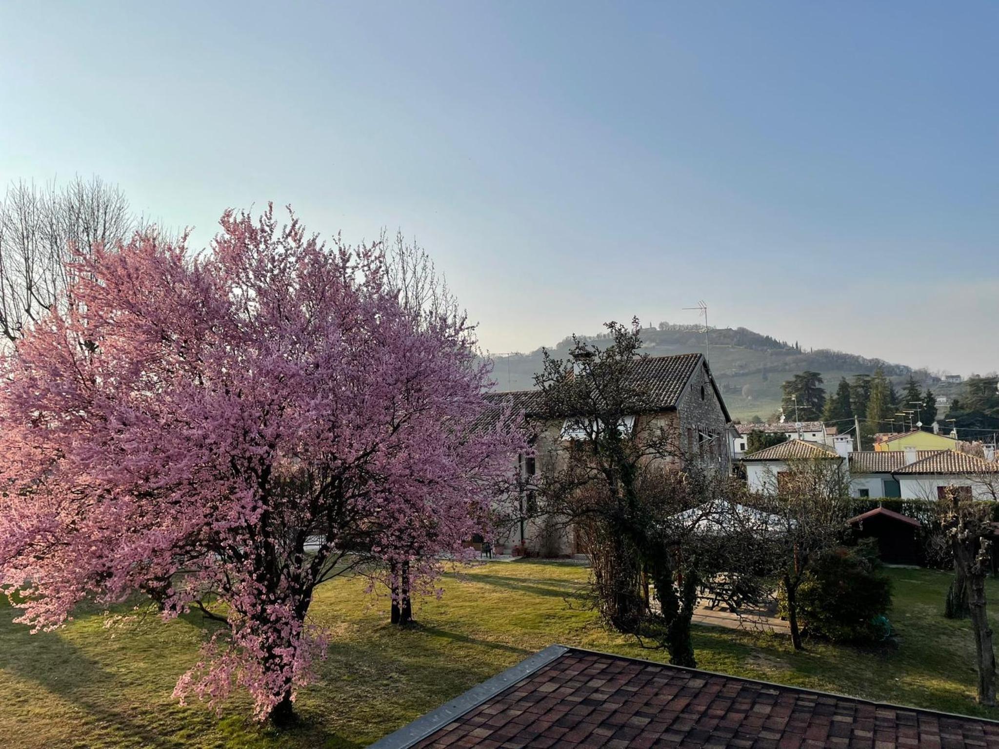 Vacation Home - Photo 33