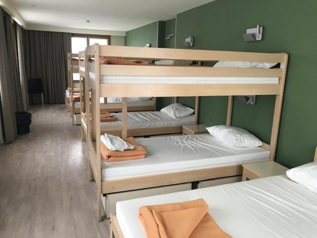 Bunk Bed in 8-Bed Female Dormitory Room photo 2
