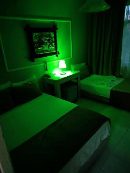 Triple Room with Garden View photo 1