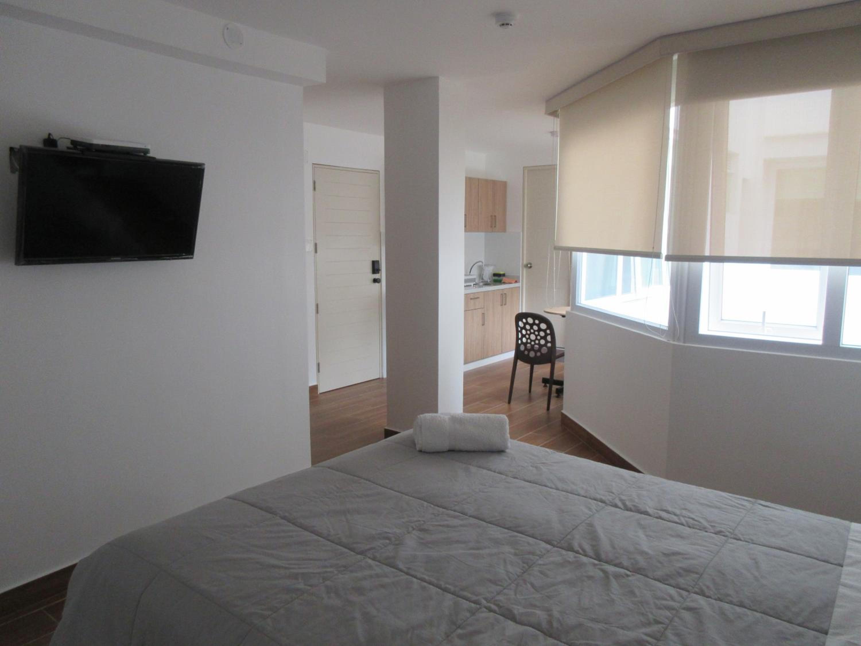 One-Bedroom Apartment photo 2