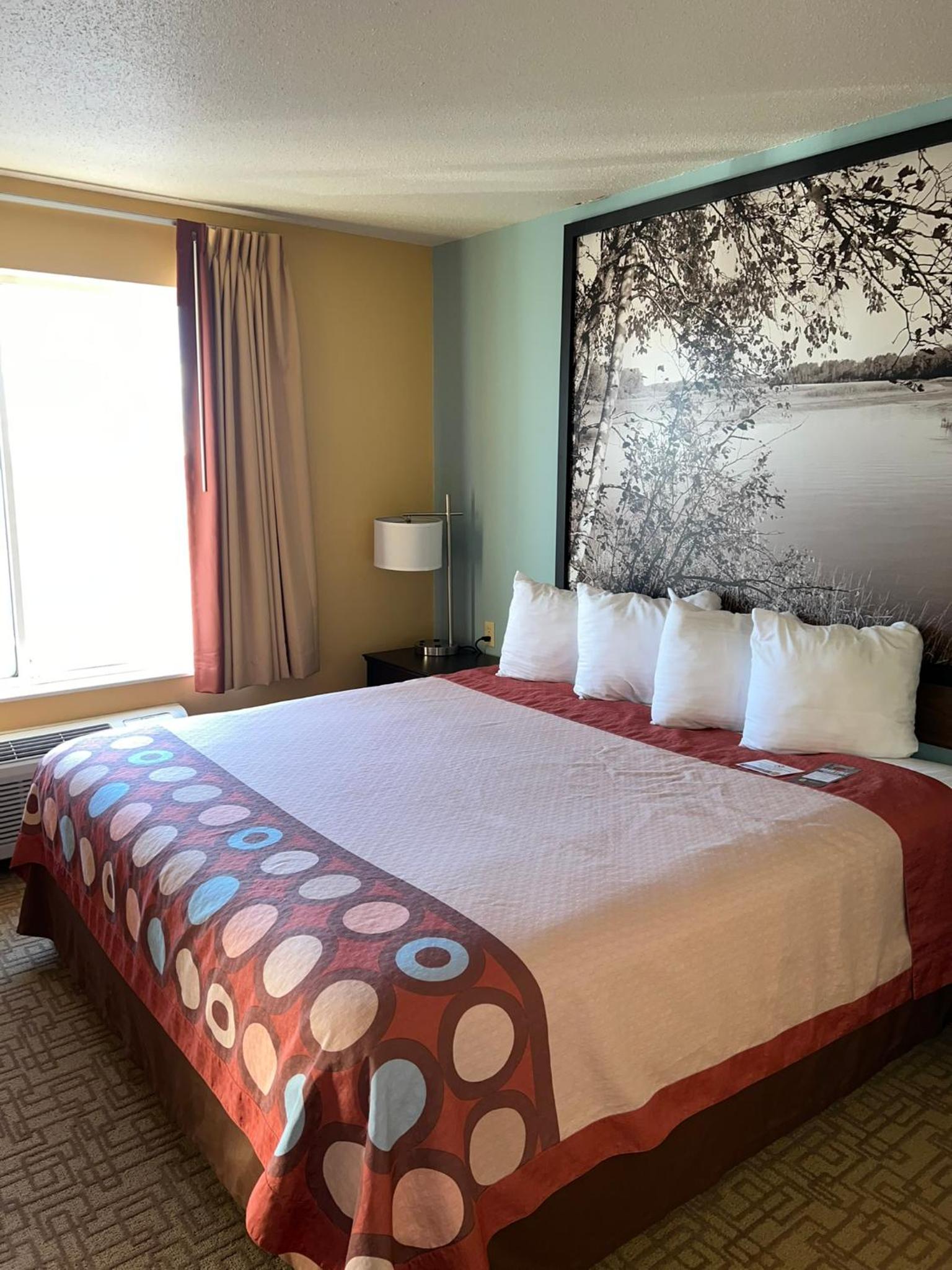 King Studio Suite with Sofa Bed and Kitchenette - Non-Smoking - Photo 2