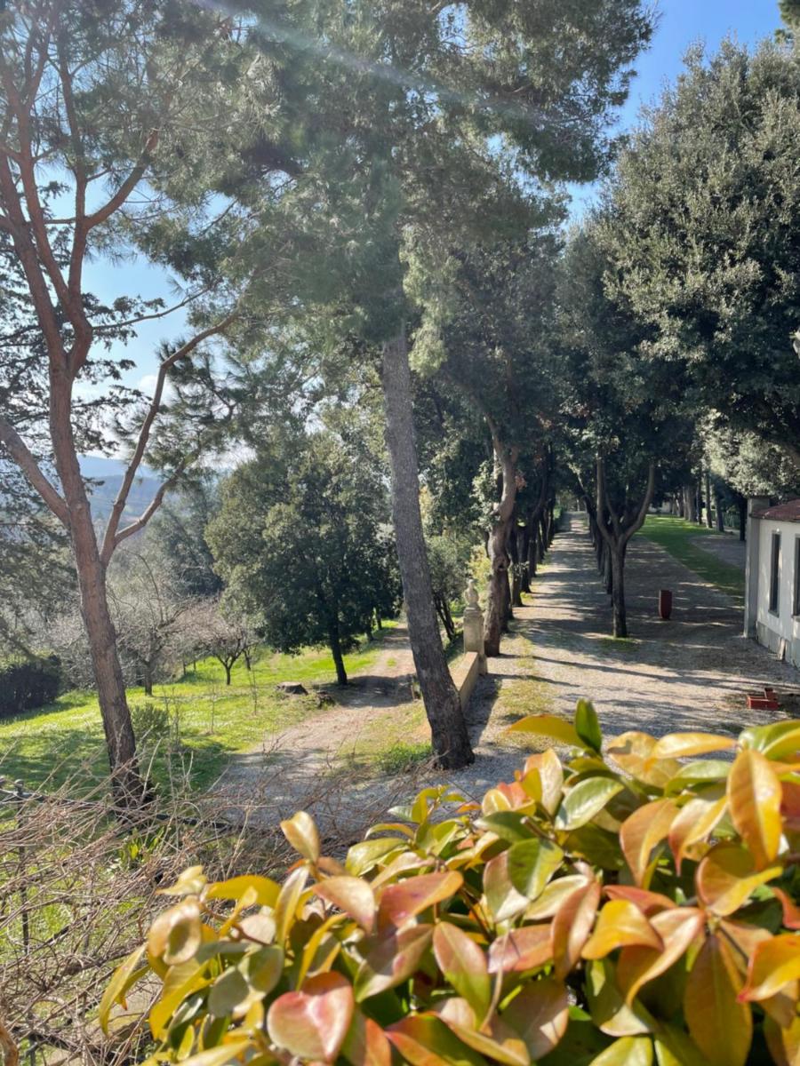 Apartment with Garden View