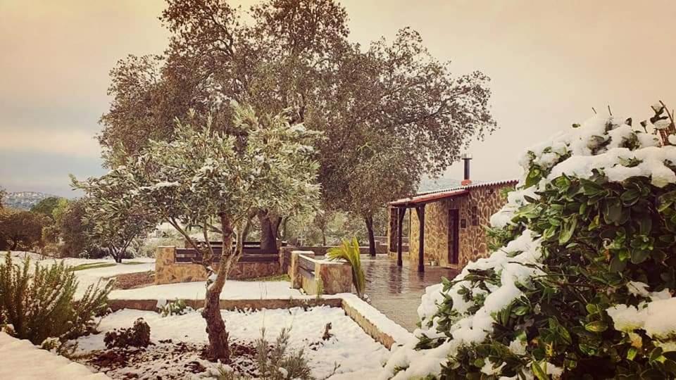 Chalet photo 2