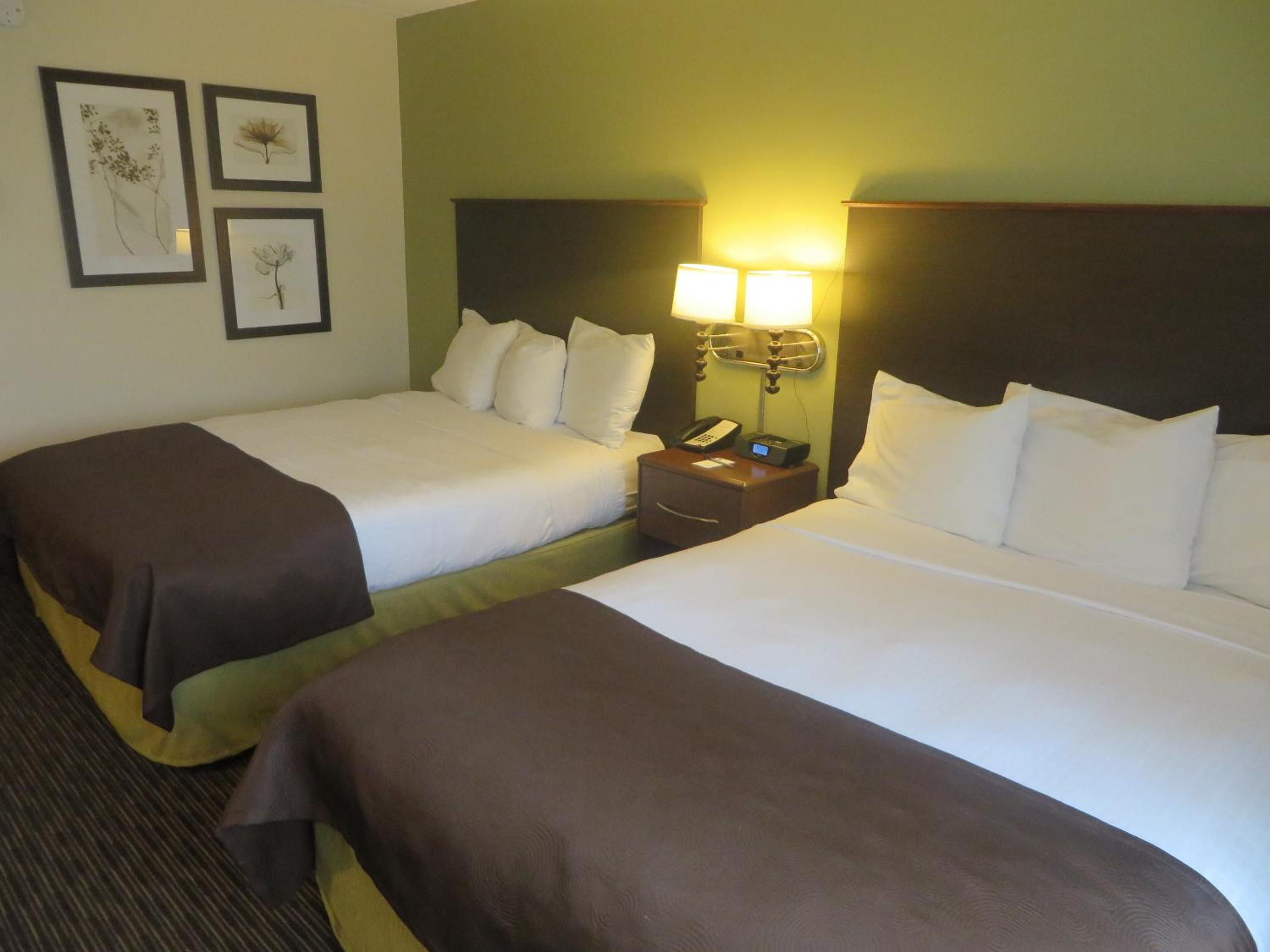 Queen Room with Two Queen Beds - Non-Smoking photo 1