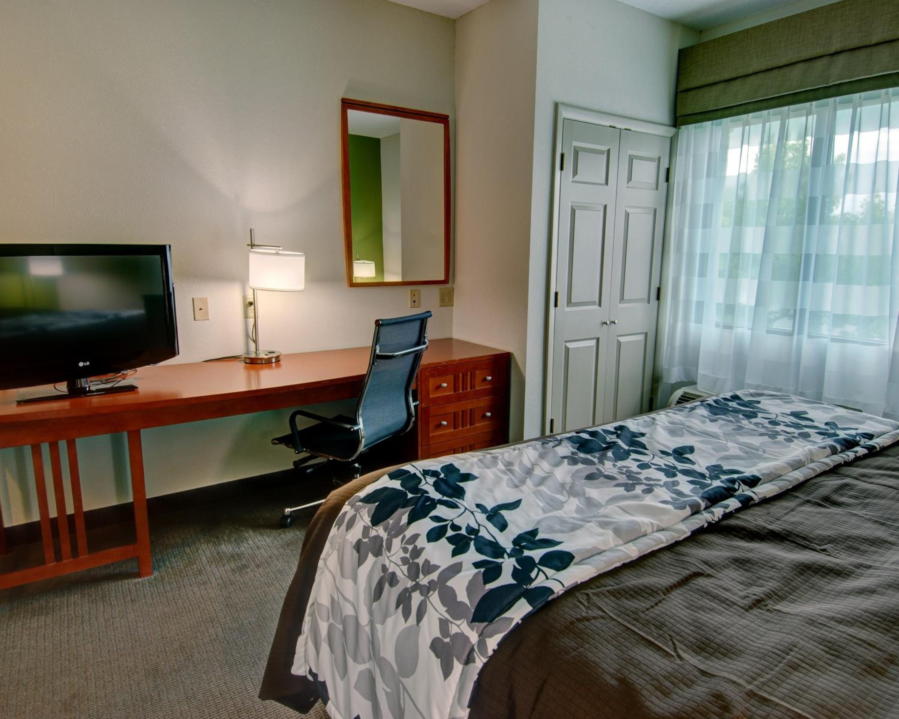 Queen Suite with Two Queen Beds - Non-Smoking photo 3