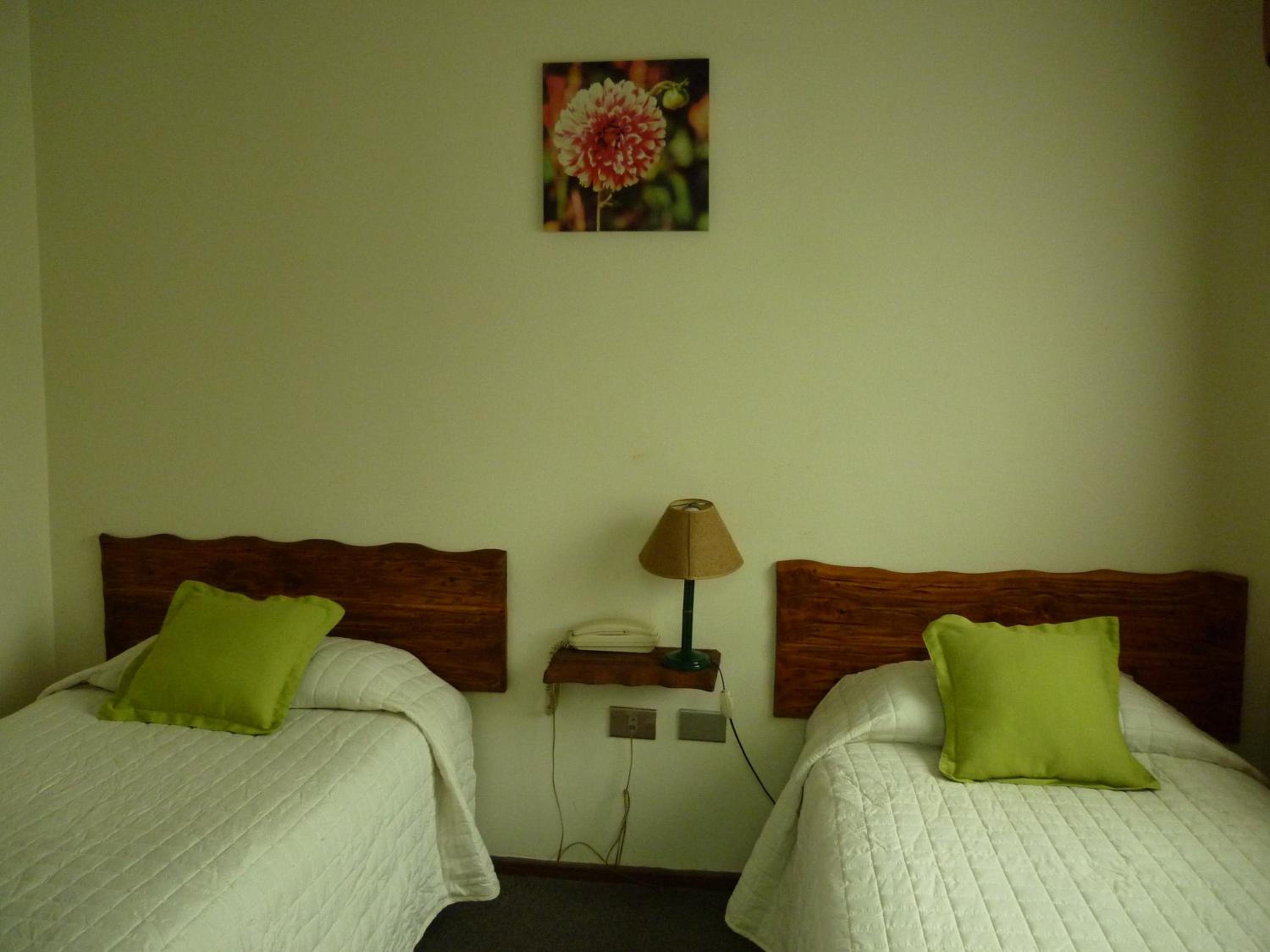 Twin Room photo 2
