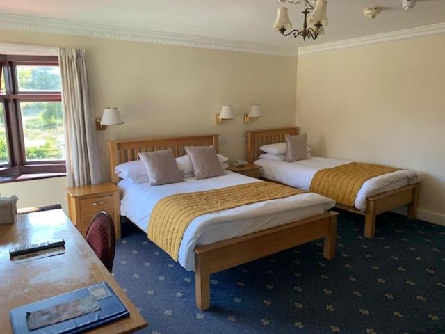 Standard Double/Twin Room - Photo 3