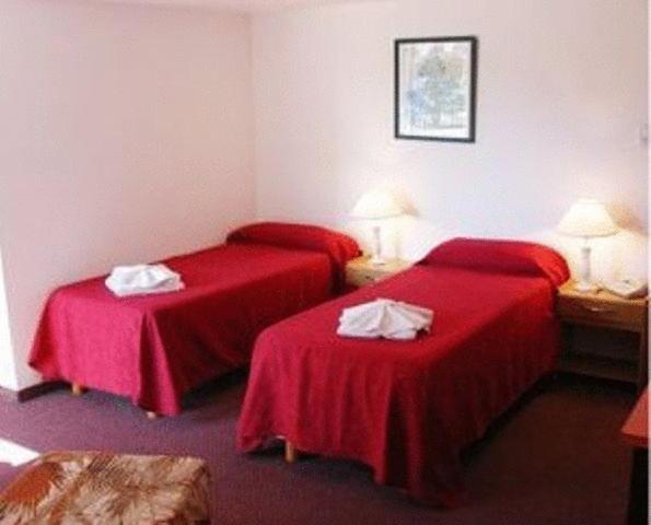 Double or Twin Room photo 3