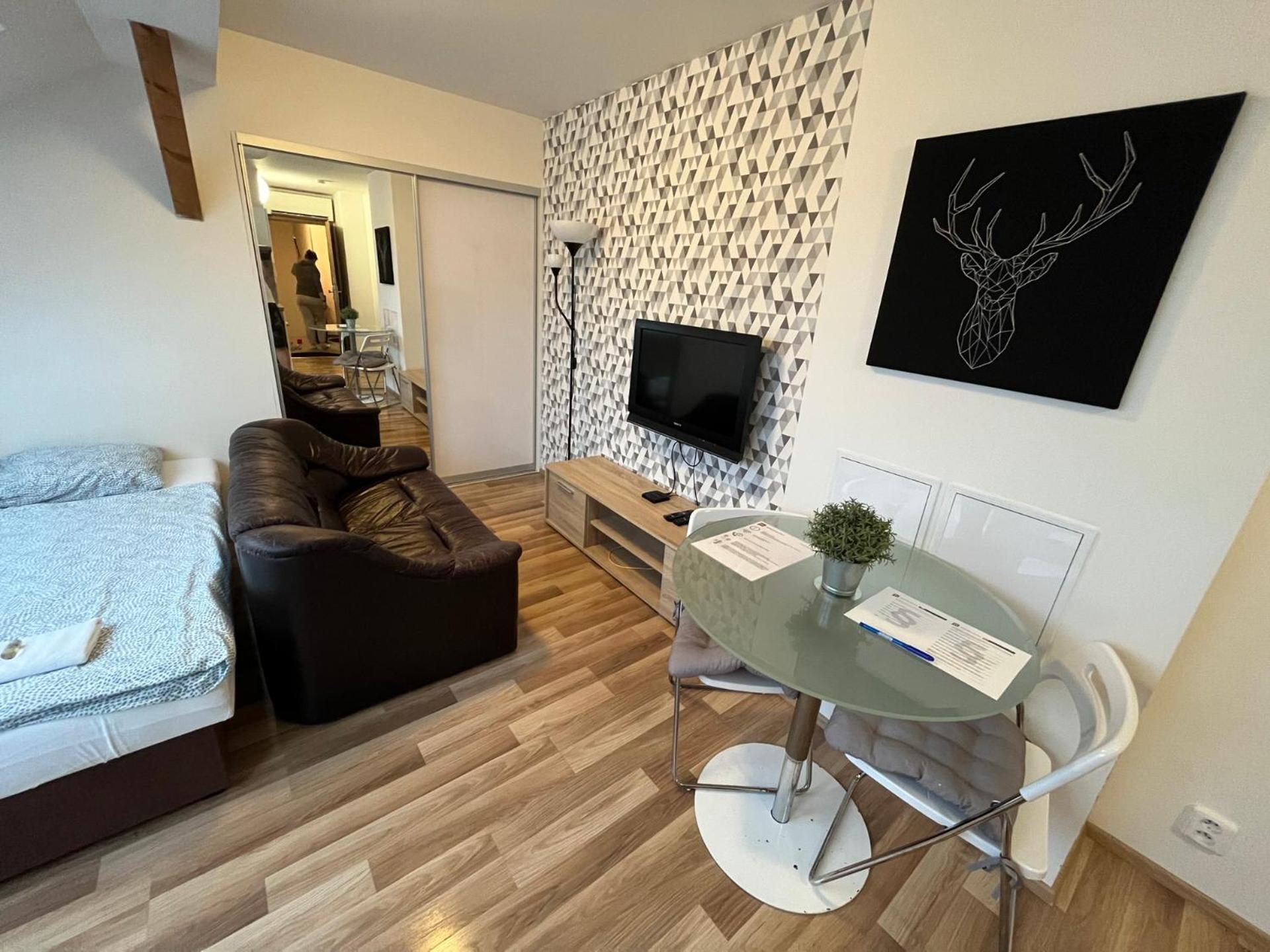 Studio Apartment - Photo 3