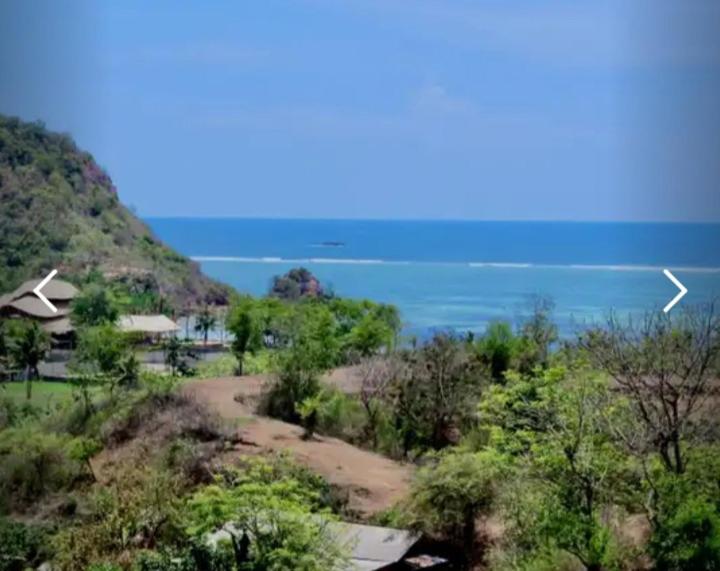 Family Bungalow - Photo 2