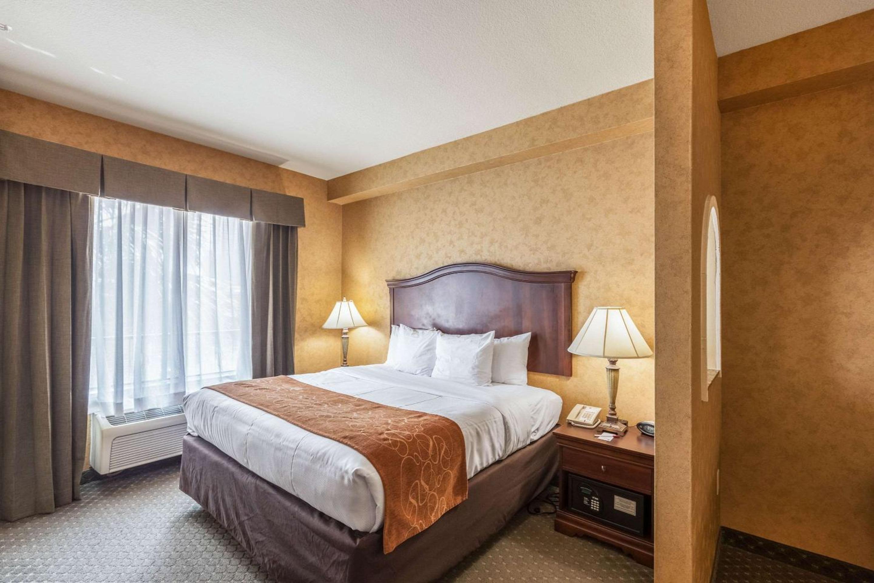 King Suite with Sofa-Bed - Non-Smoking - Photo 2