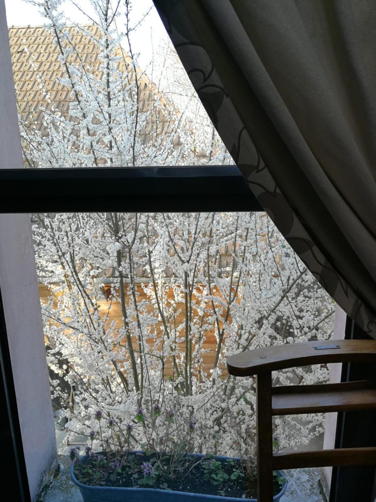 Deluxe Double Room with Shower - Photo 5