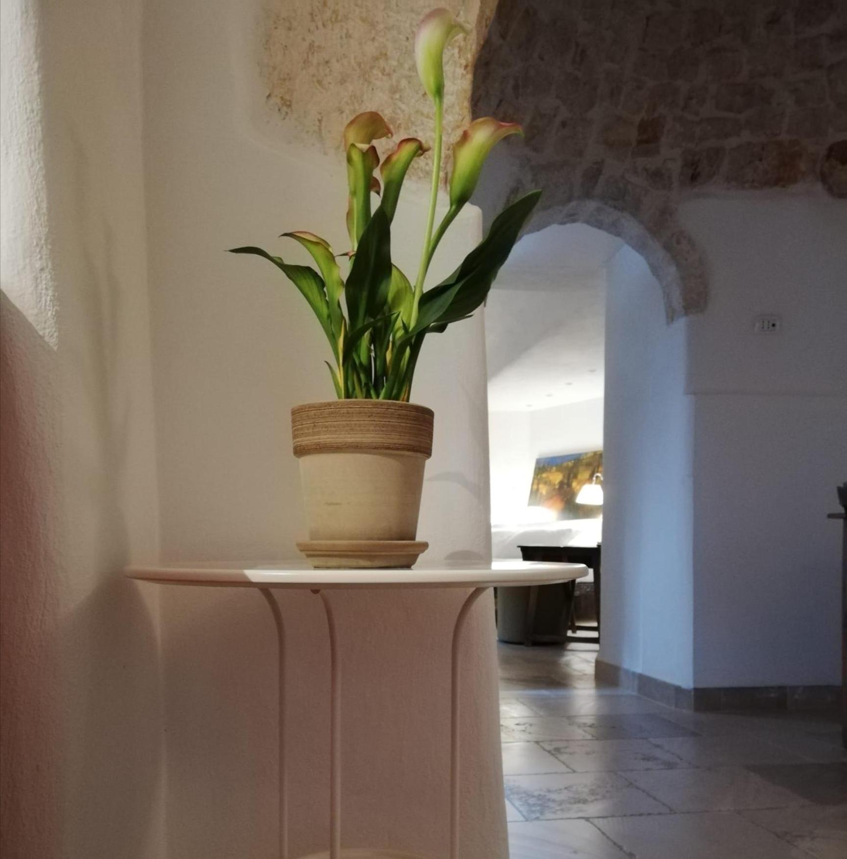 Suite - Photo 3