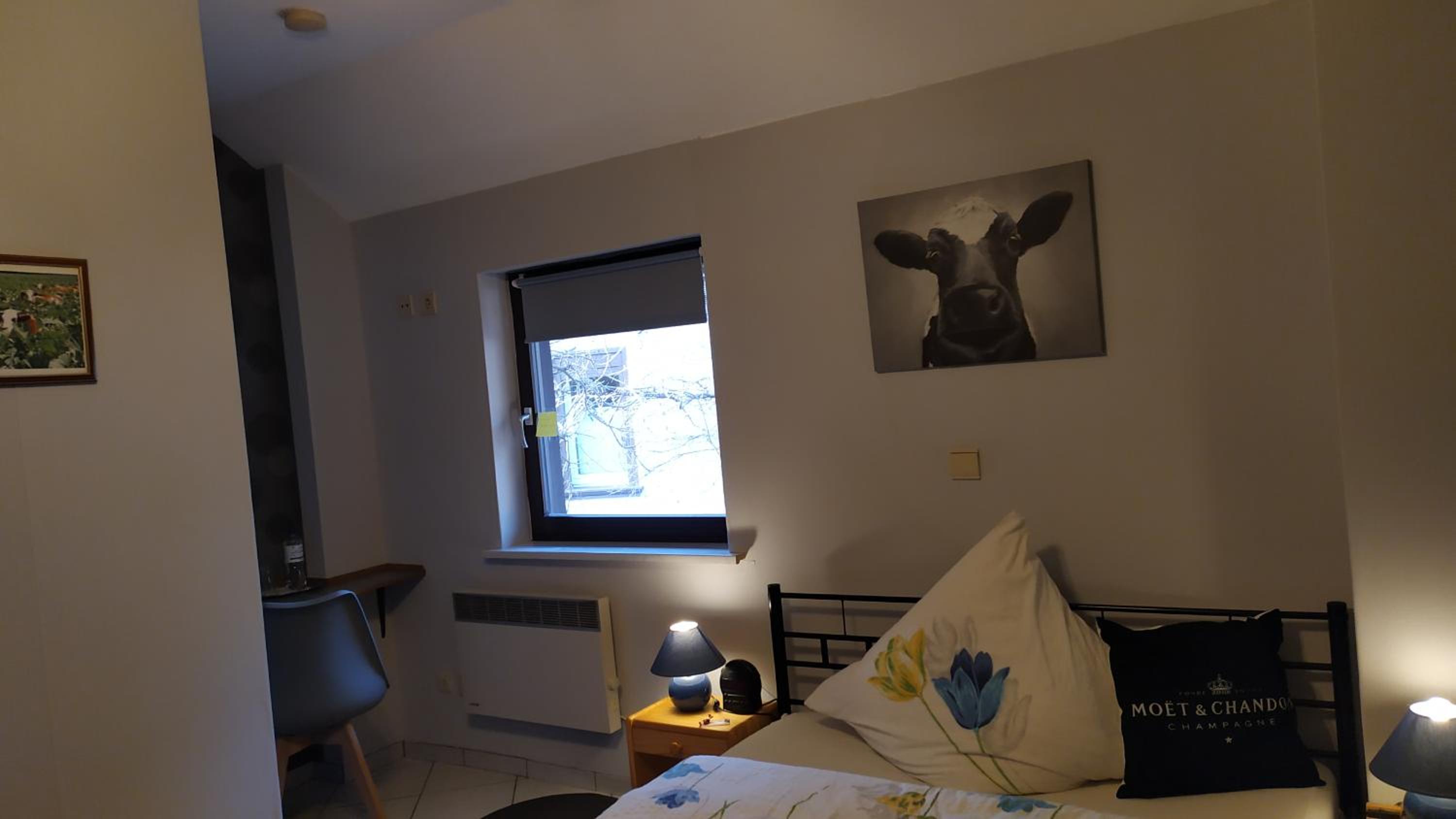 Standard Double Room photo 3