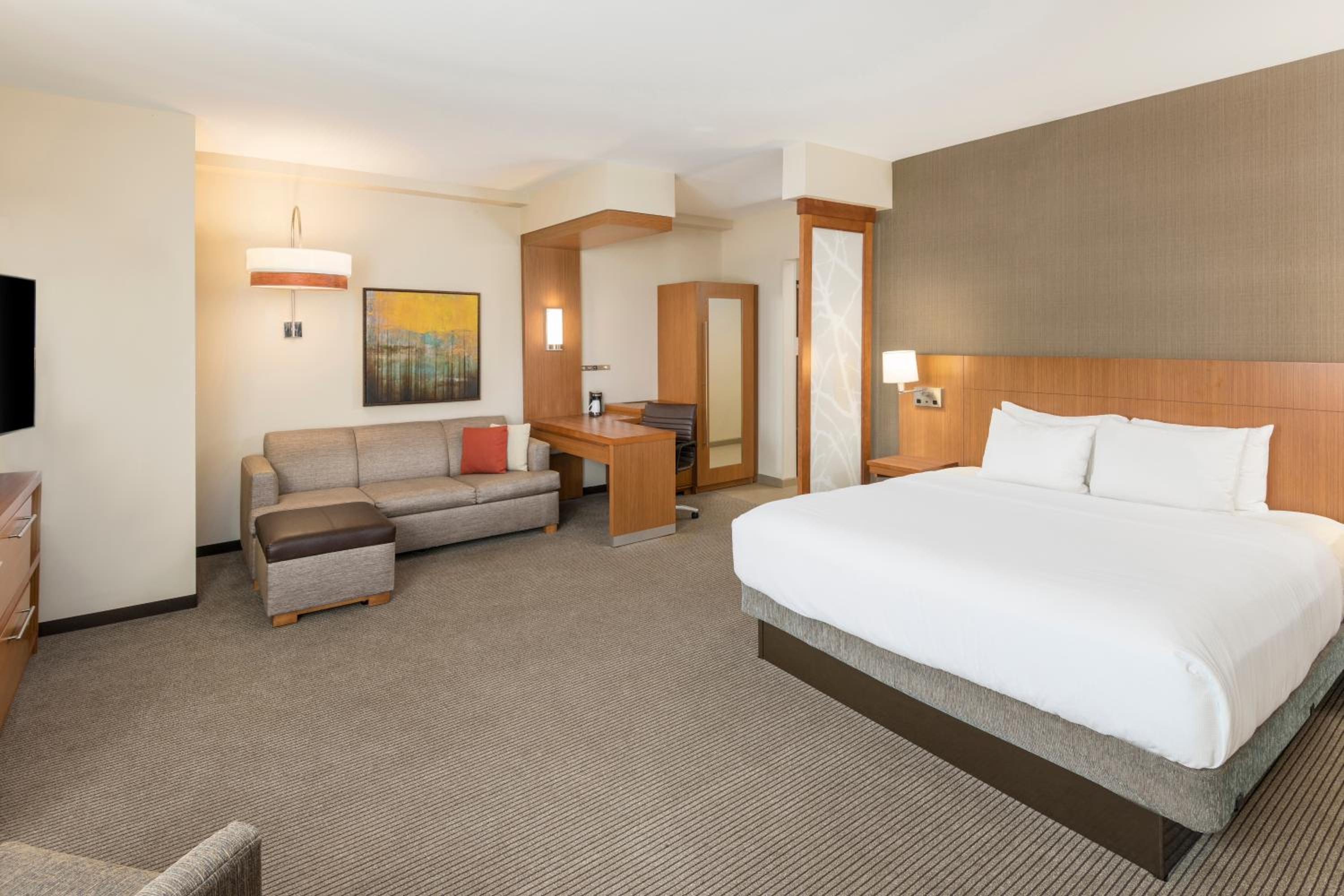 Specialty King Room with Sofa Bed photo 2