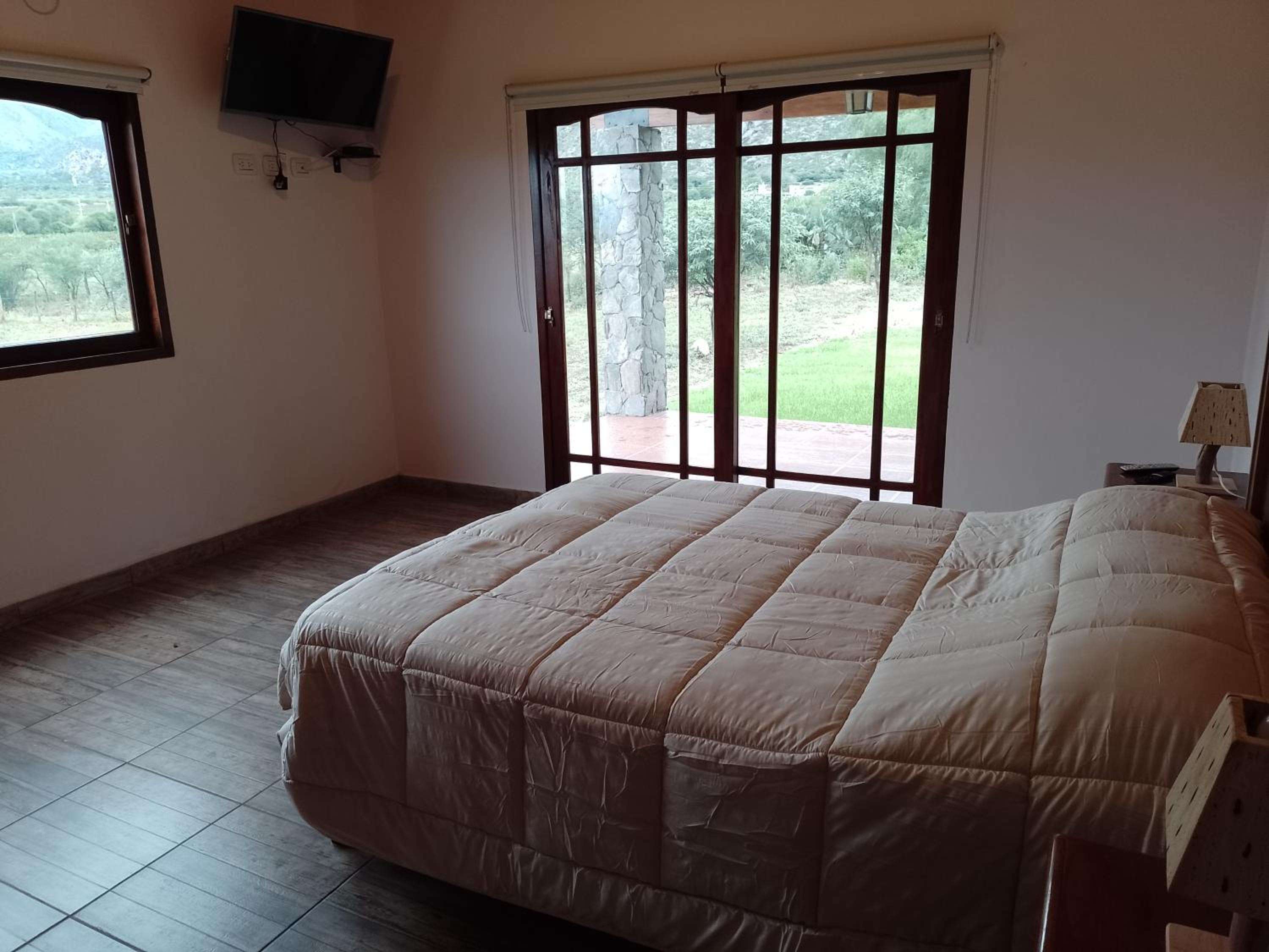 Three-Bedroom Chalet photo 1