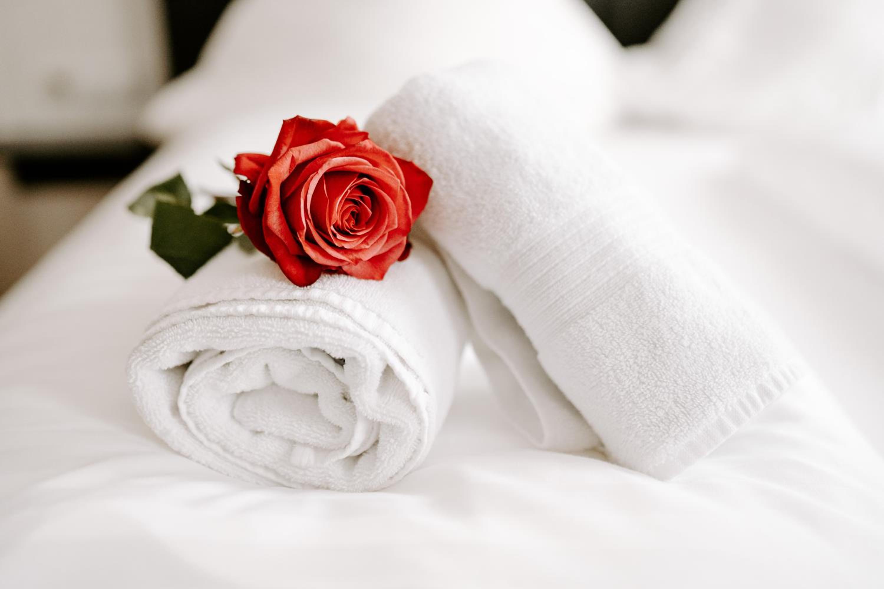 Deluxe Double Room - Photo 6