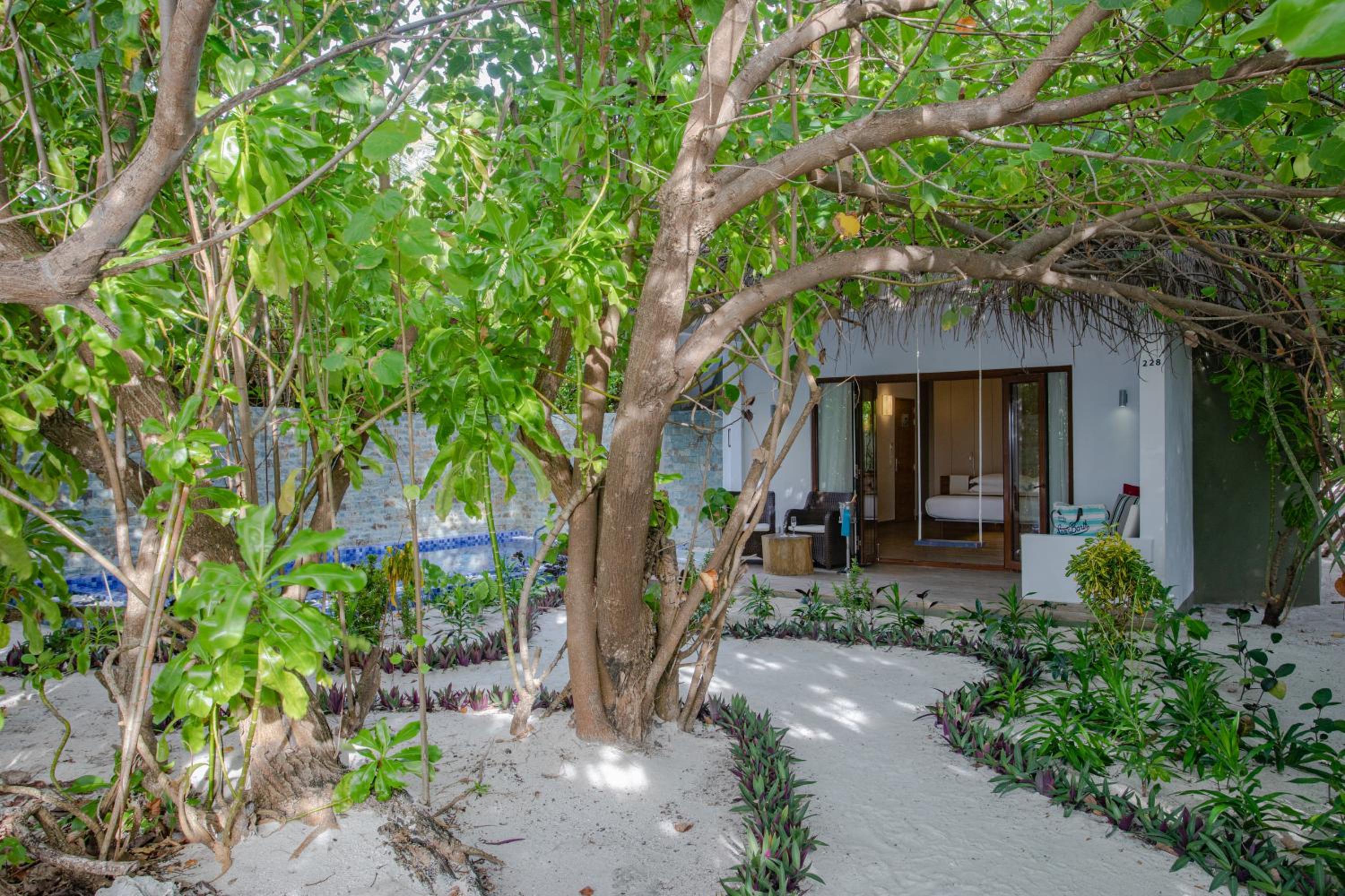 Beach Suite Pool