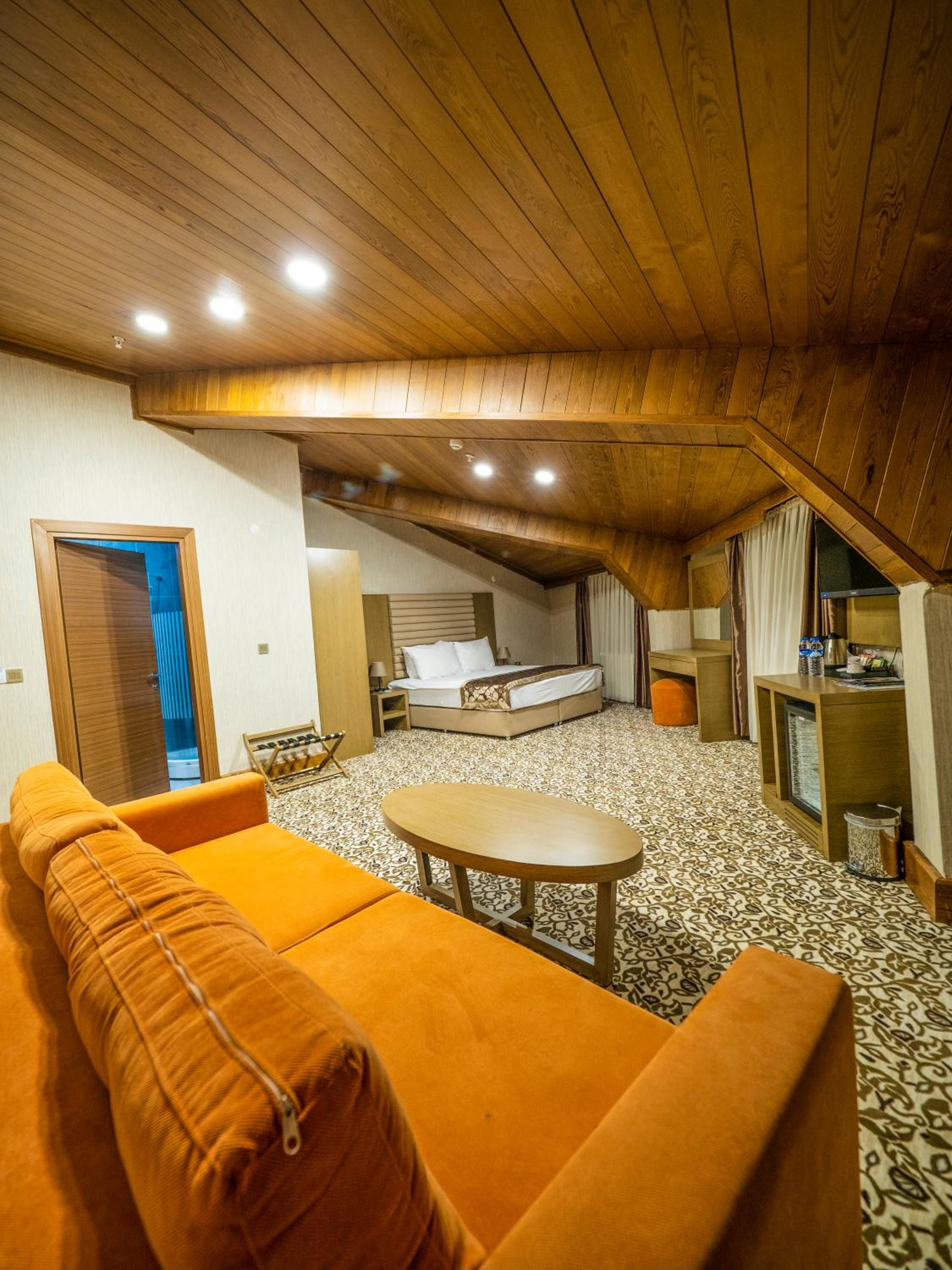 Family Room photo 3