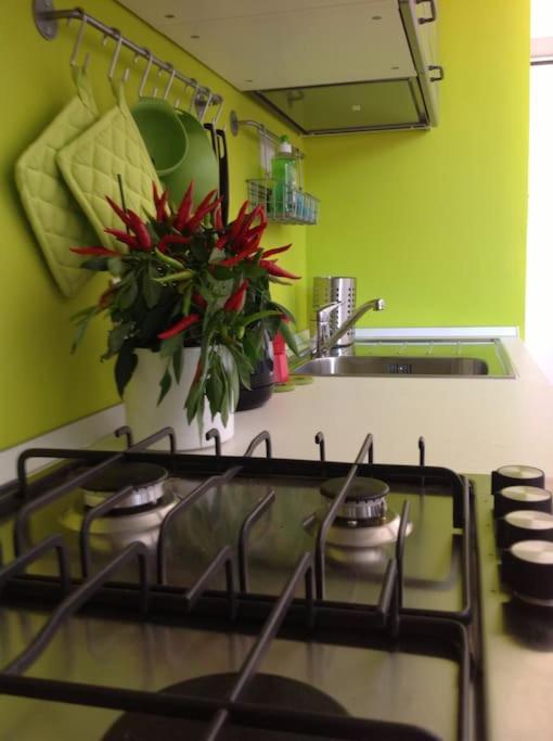 One-Bedroom Apartment - Photo 4