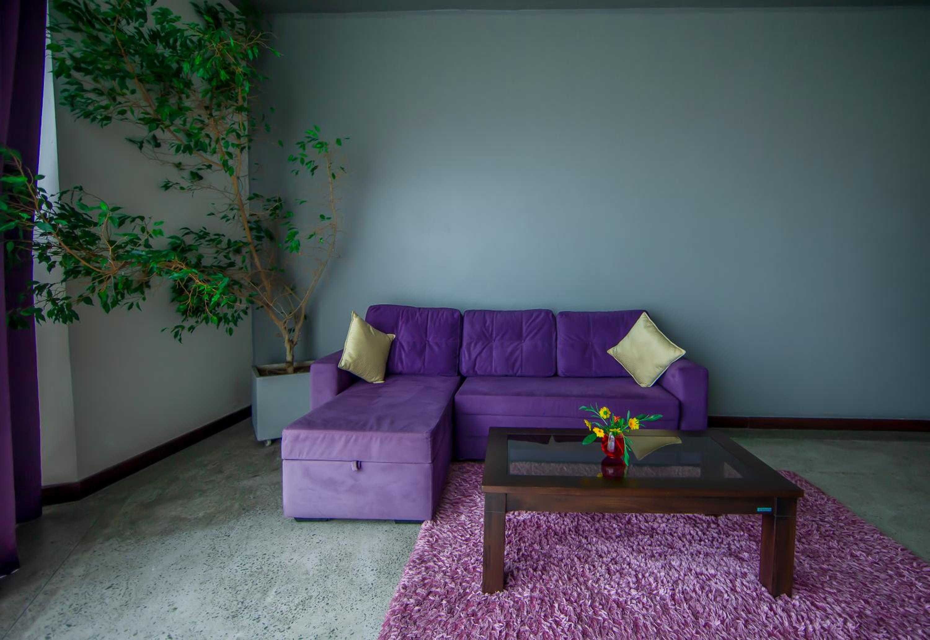 King Suite photo 2