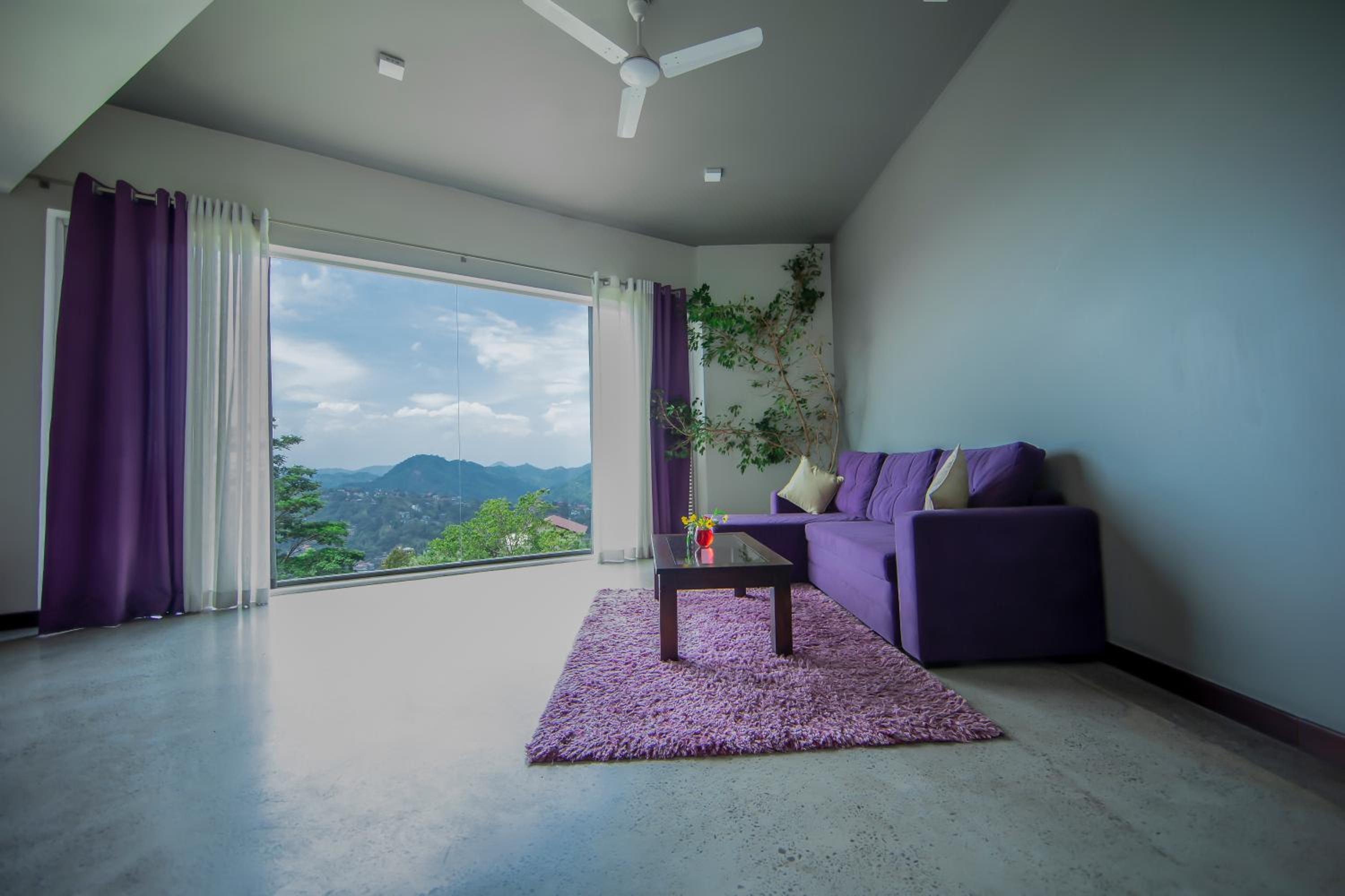 King Suite photo 1