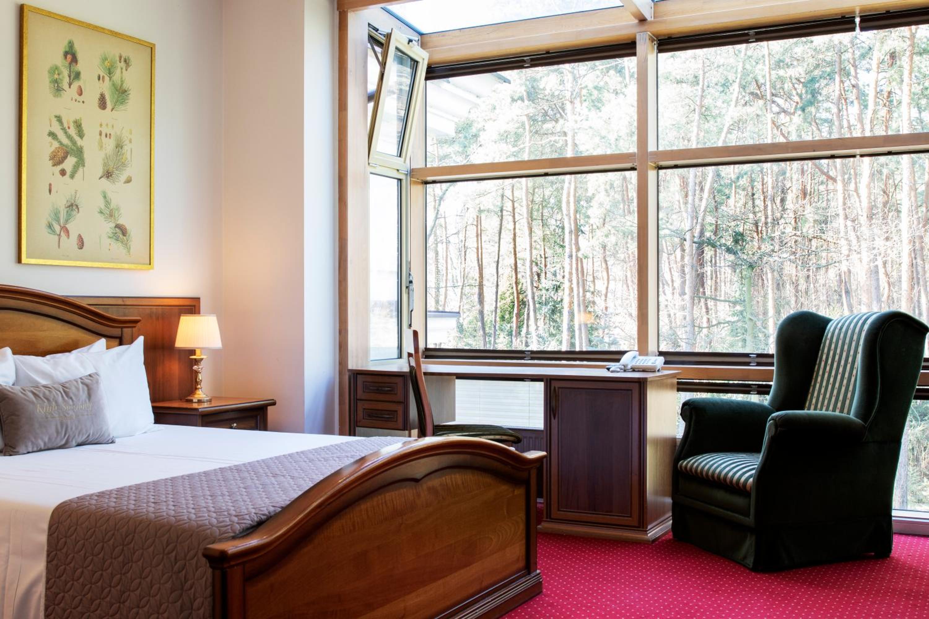 Suite - Photo 2