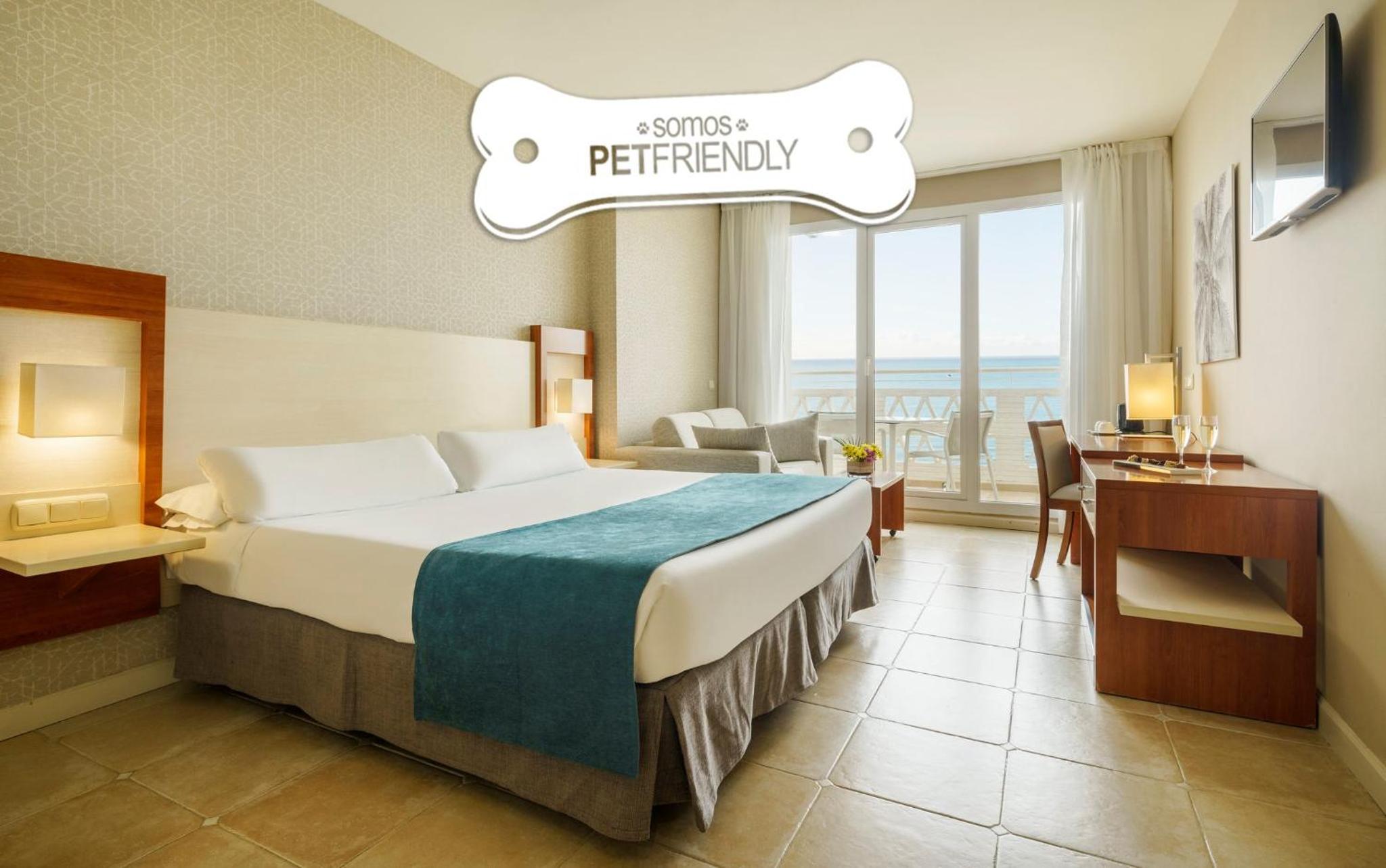 Room with Sea View Pet Friendly - Photo 6