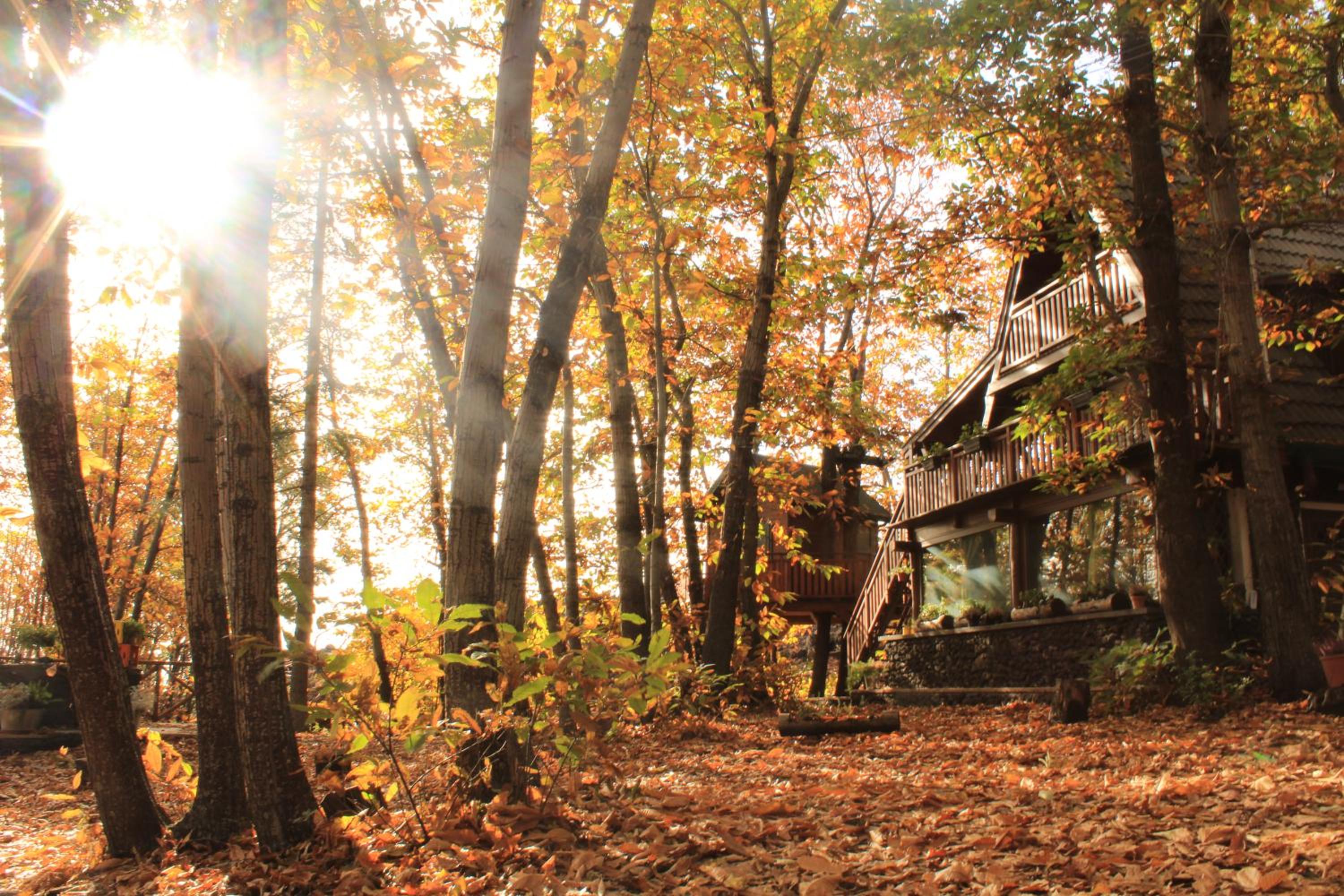 Chalet - Photo 76
