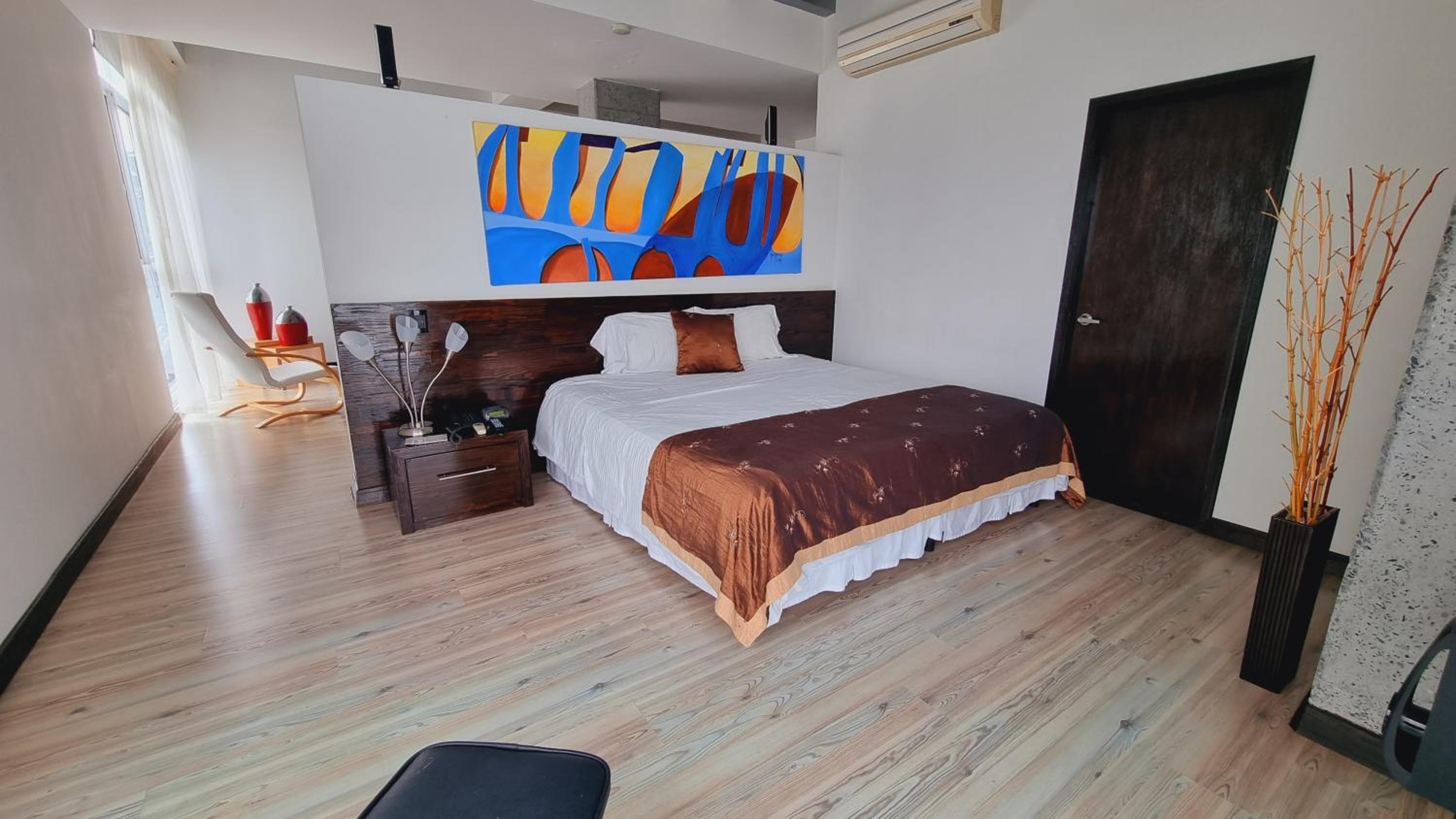 Suite - Photo 1
