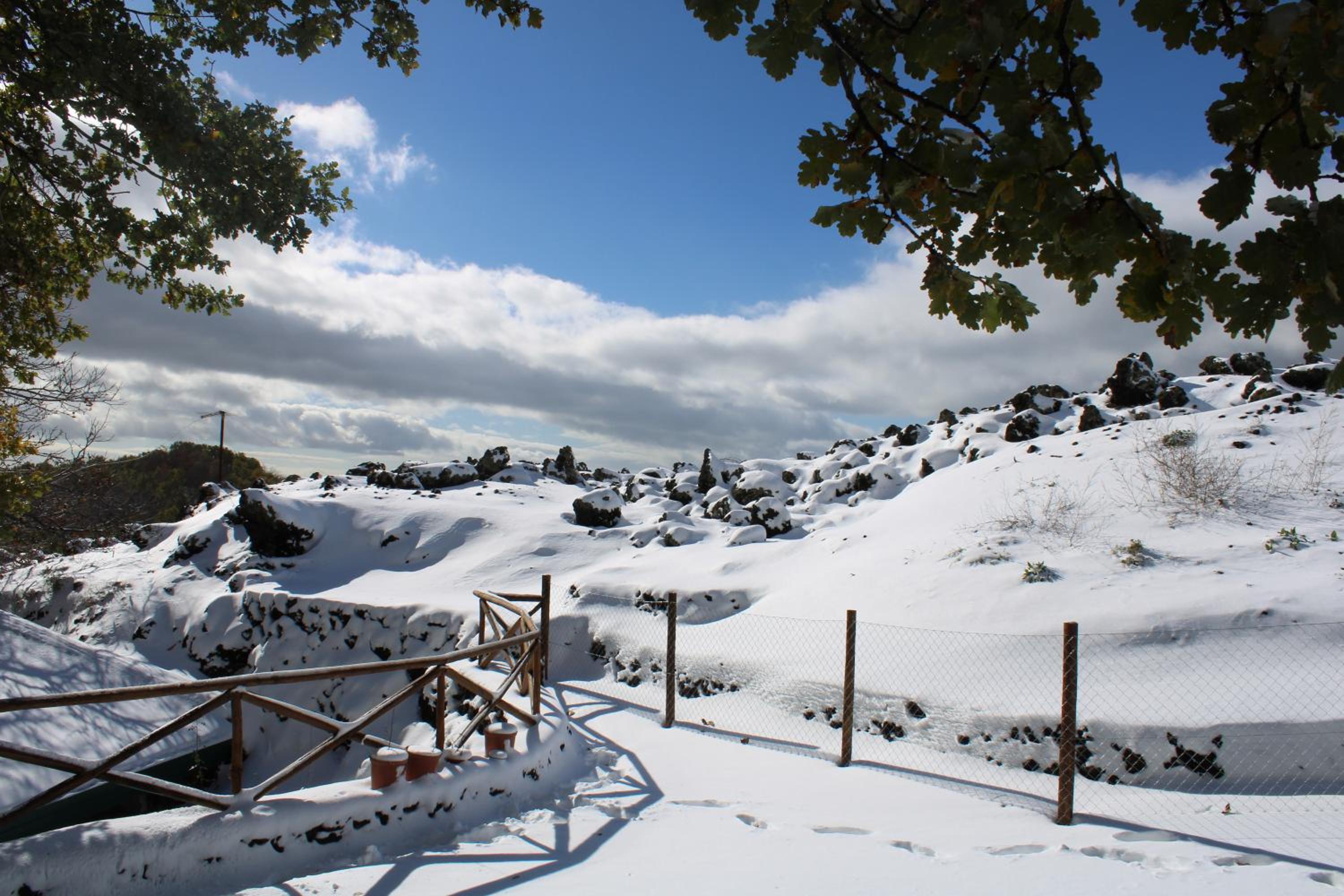 Chalet - Photo 104