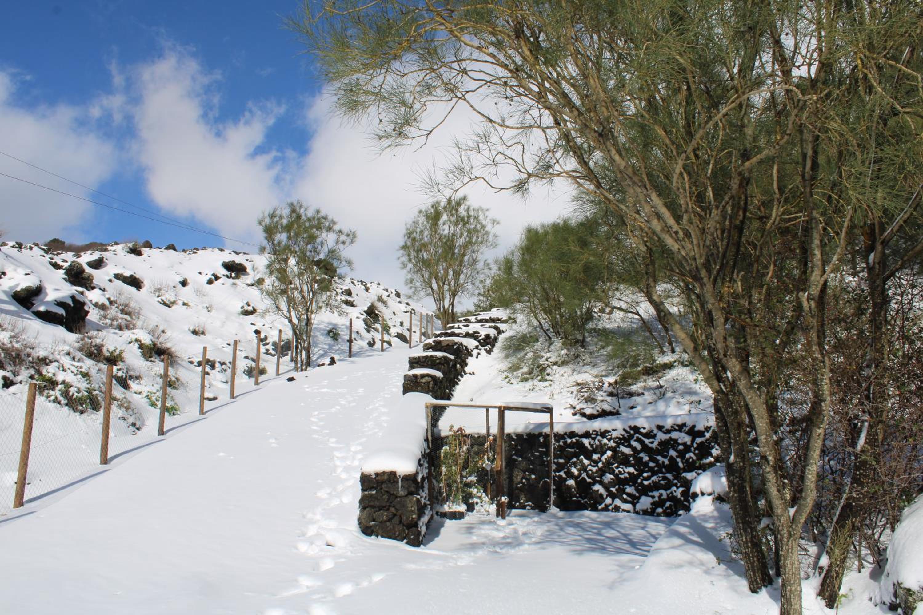 Chalet - Photo 106