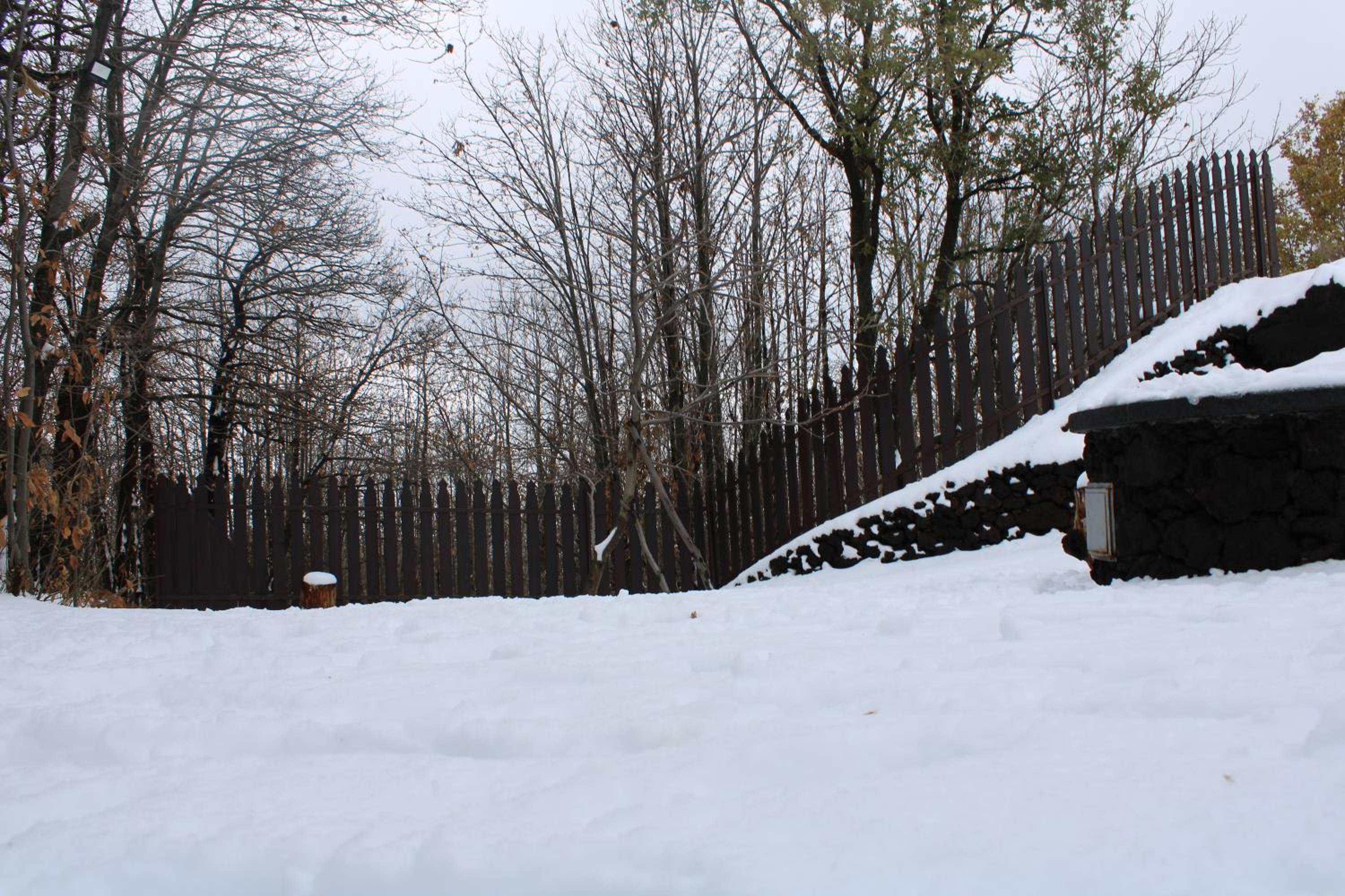 Chalet - Photo 97
