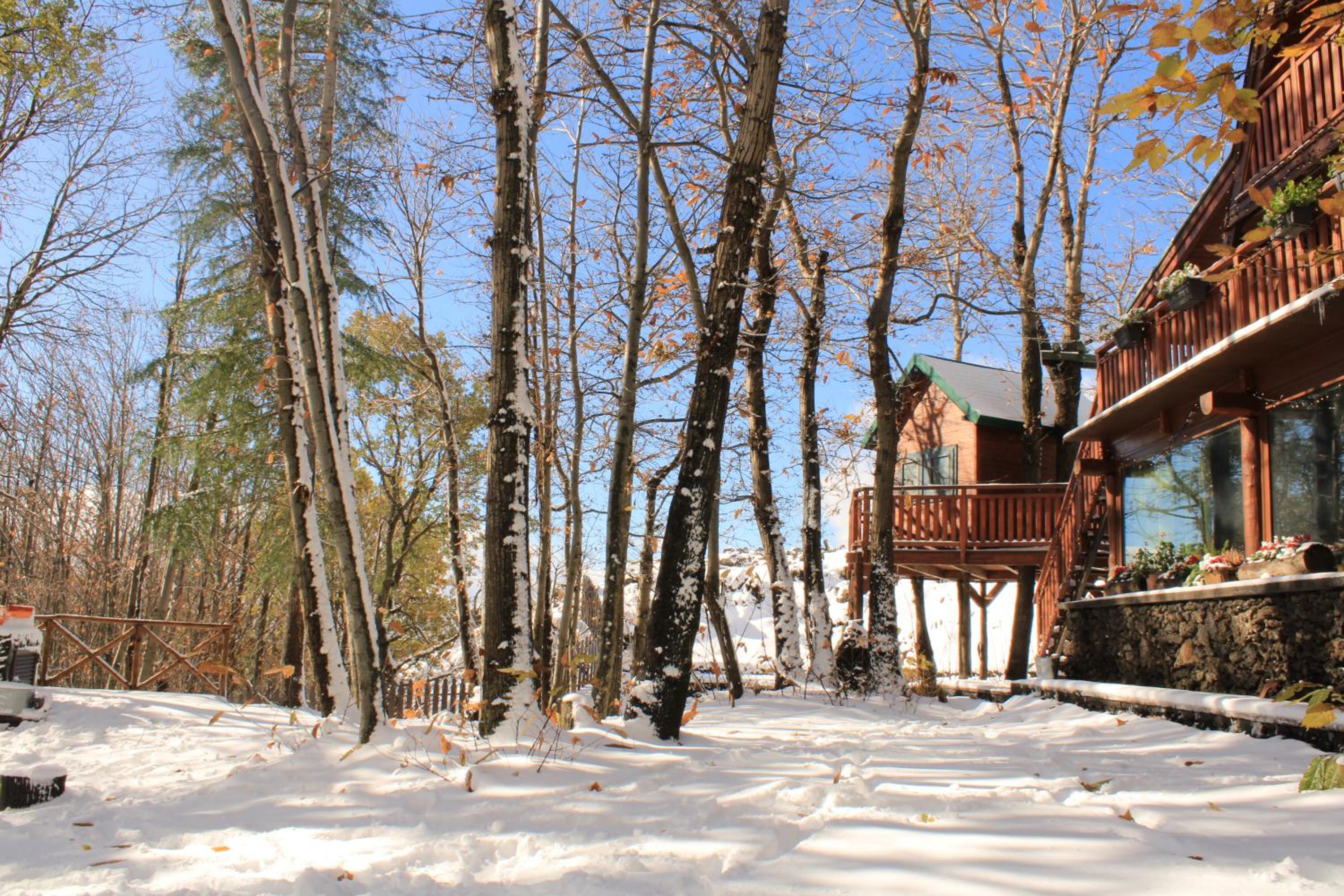 Chalet - Photo 102