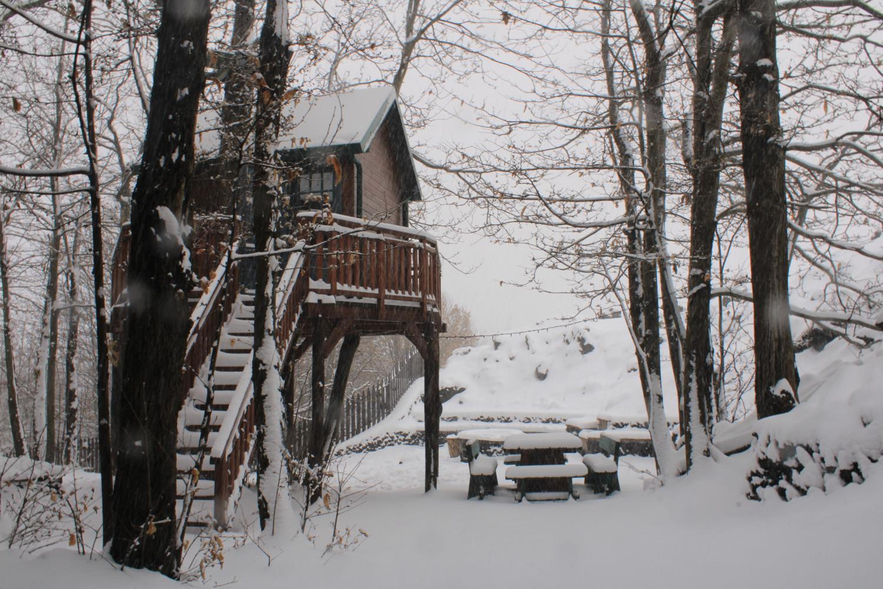 Chalet - Photo 85