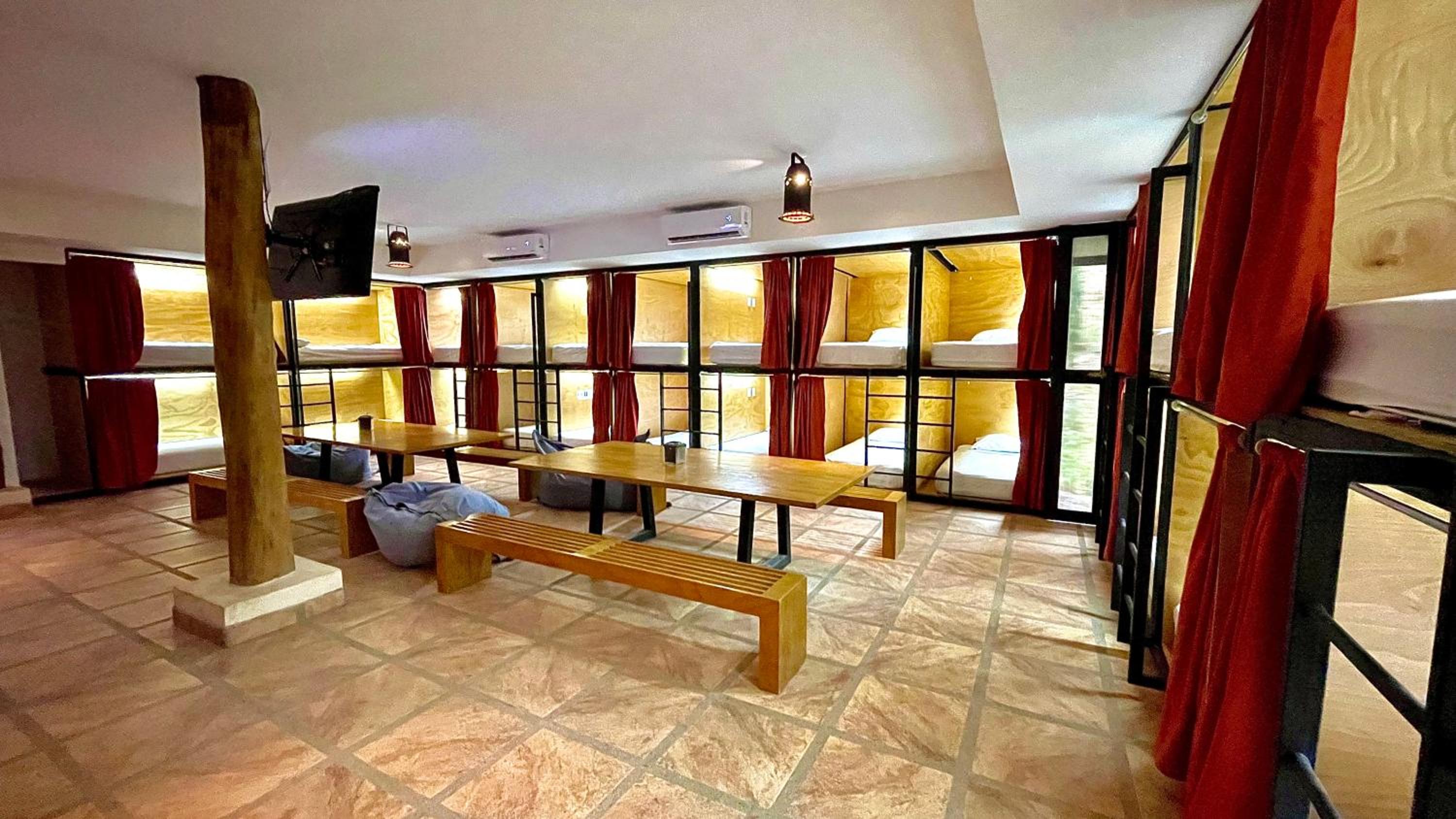 Single Bed in Mixed Dormitory Room photo 2