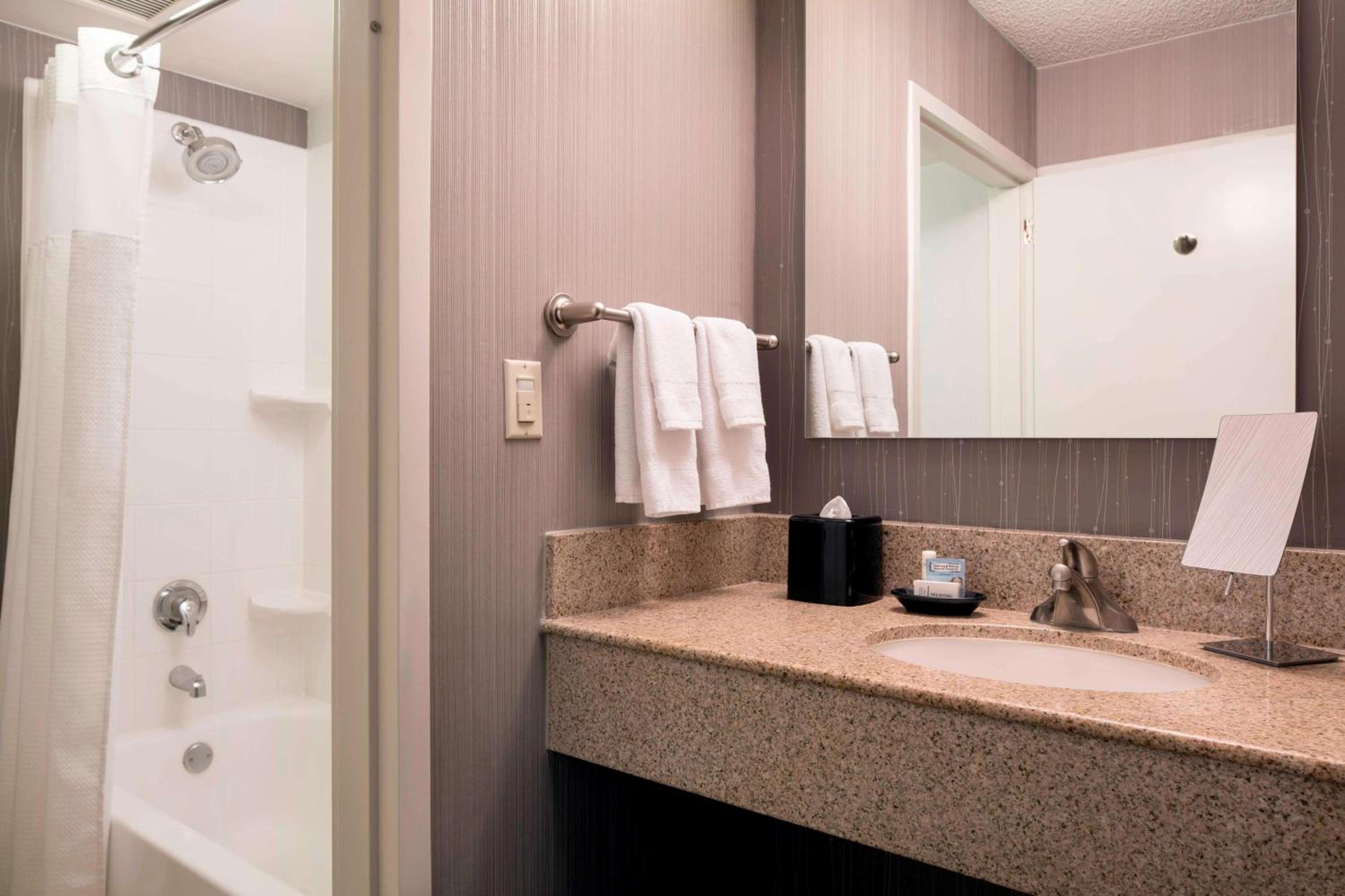 Mobility Accessible Guestroom King Tub - Photo 6