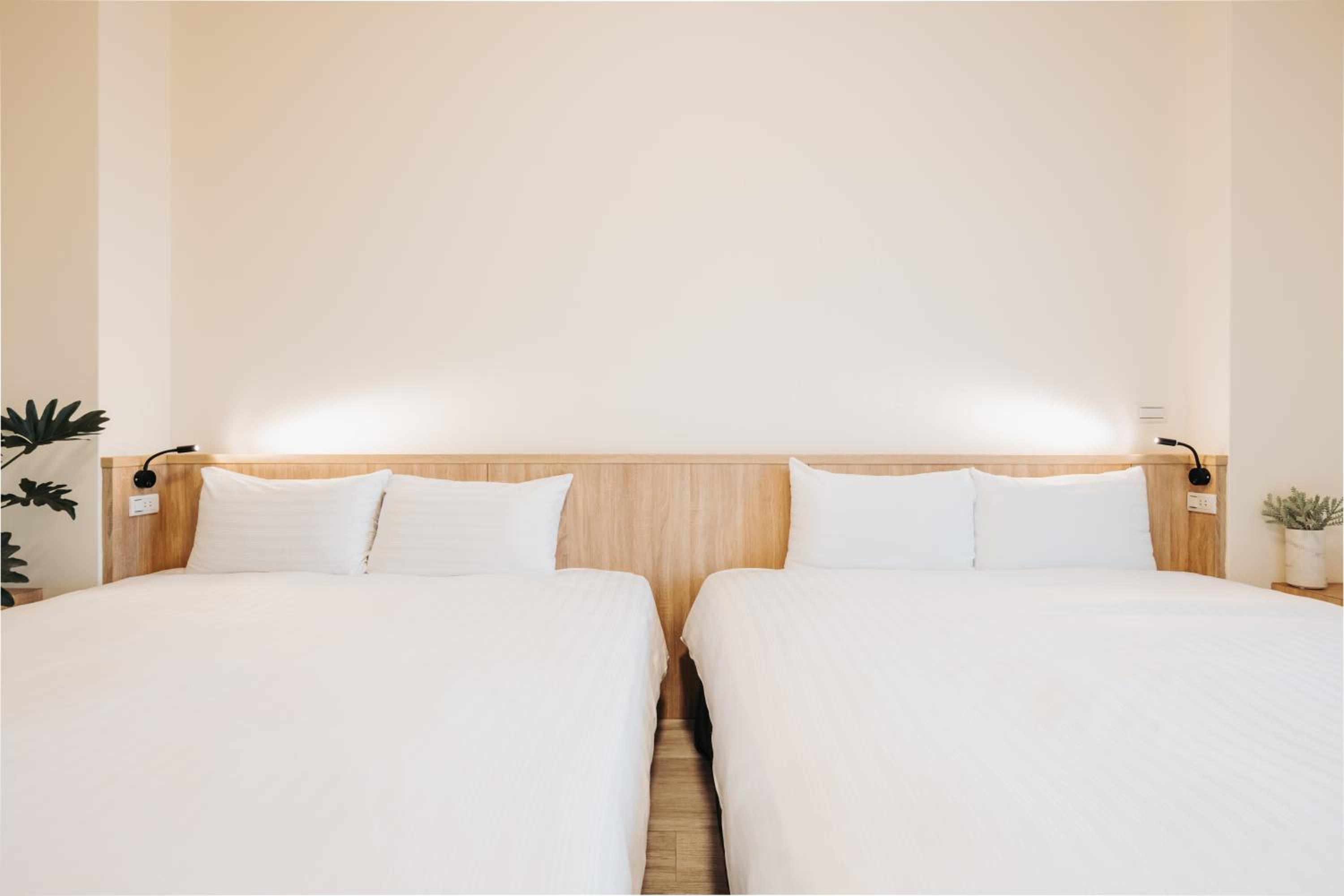 Superior Twin Room photo 3