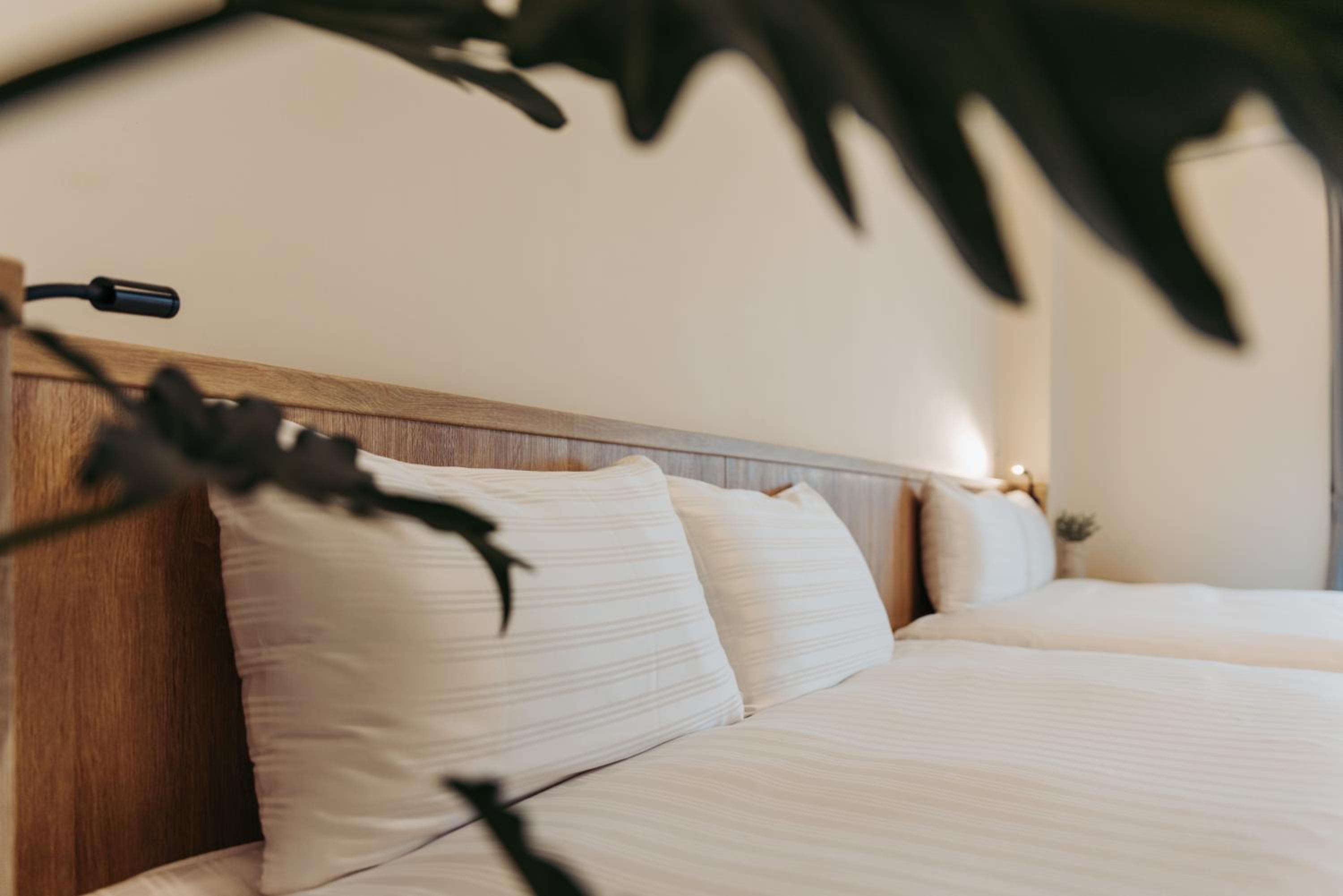 Superior Twin Room photo 2