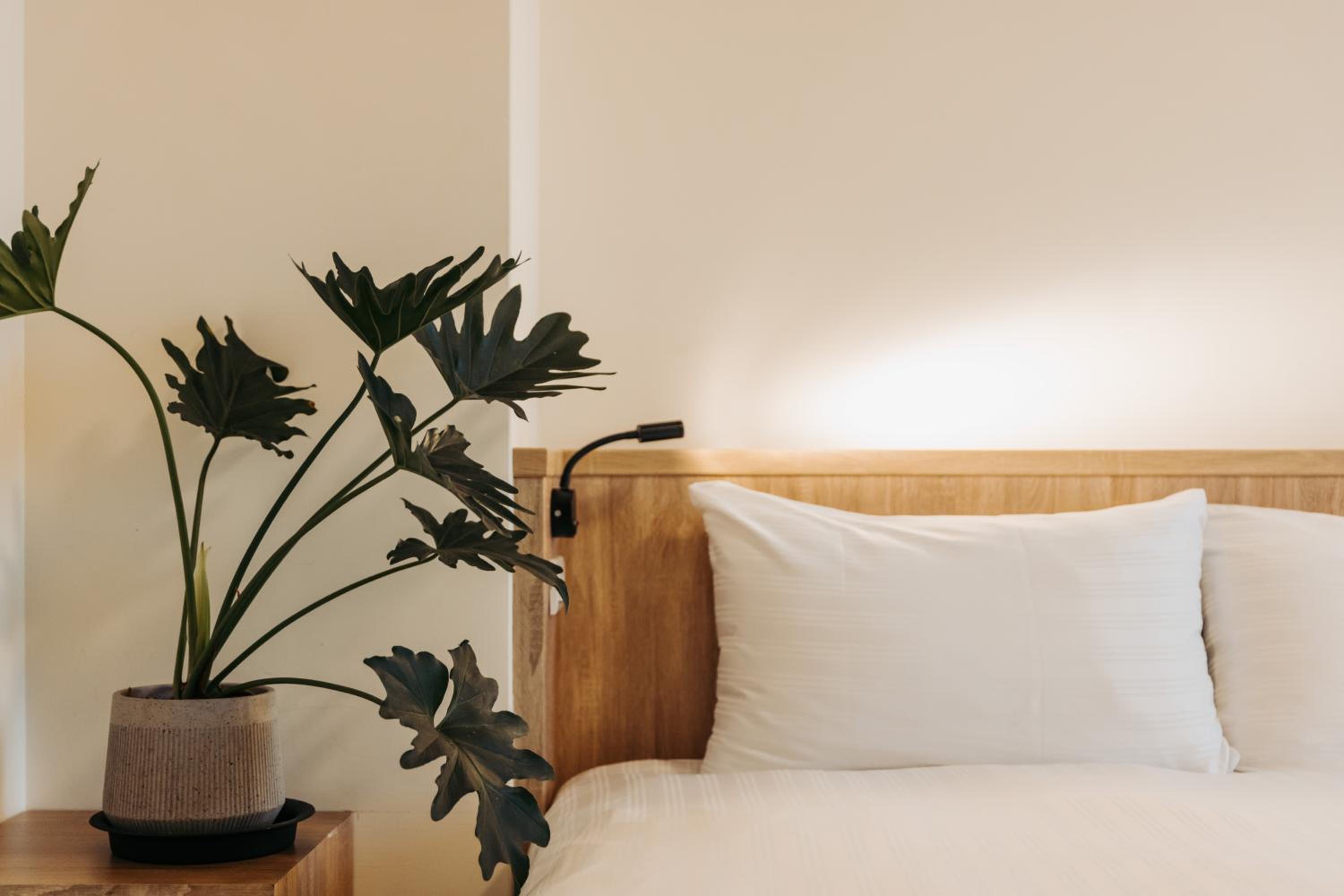 Superior Twin Room photo 1