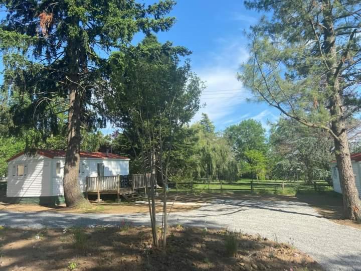 Mobile Home photo 1