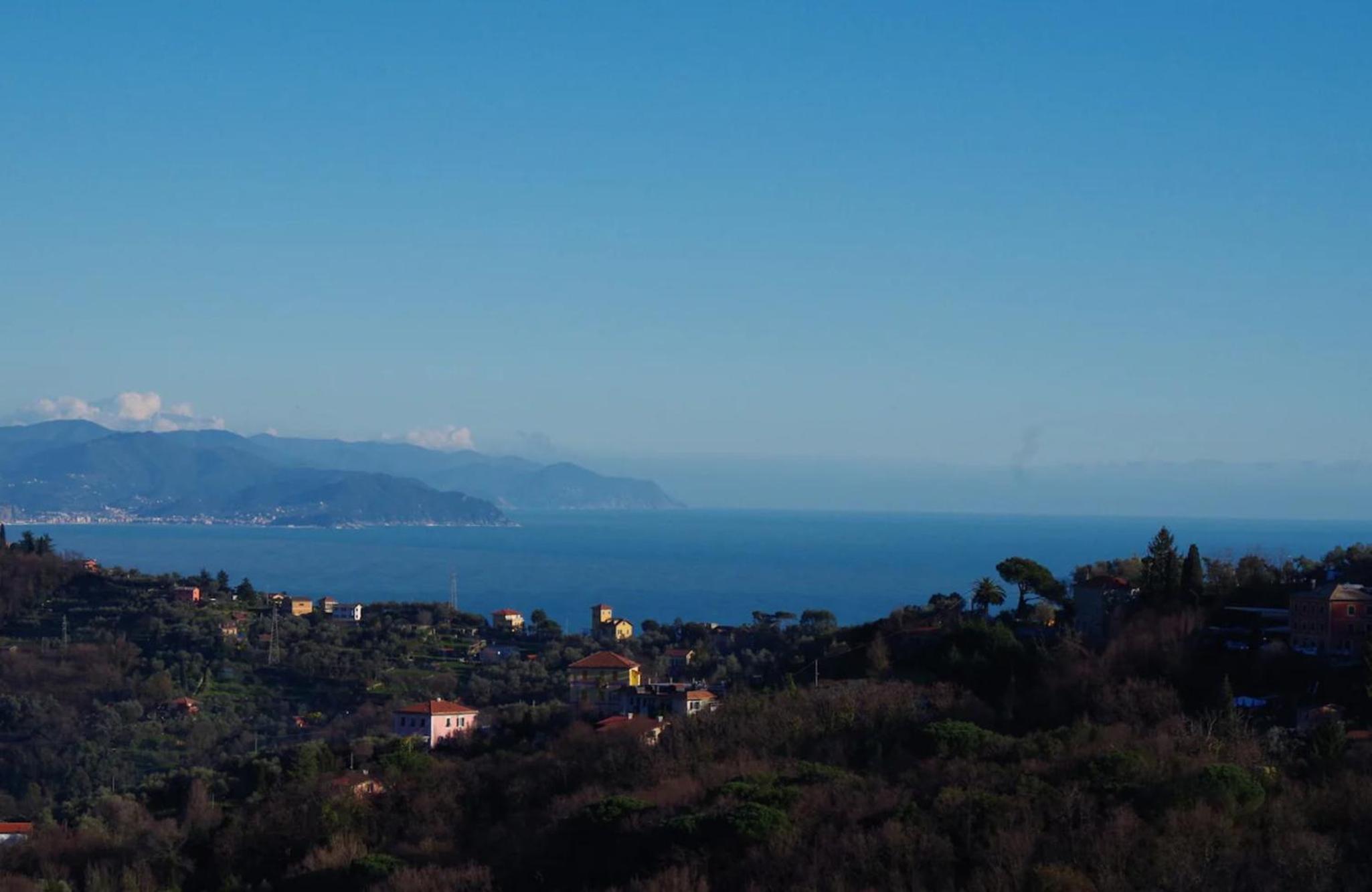 Studio Apartment with Sea View photo 3