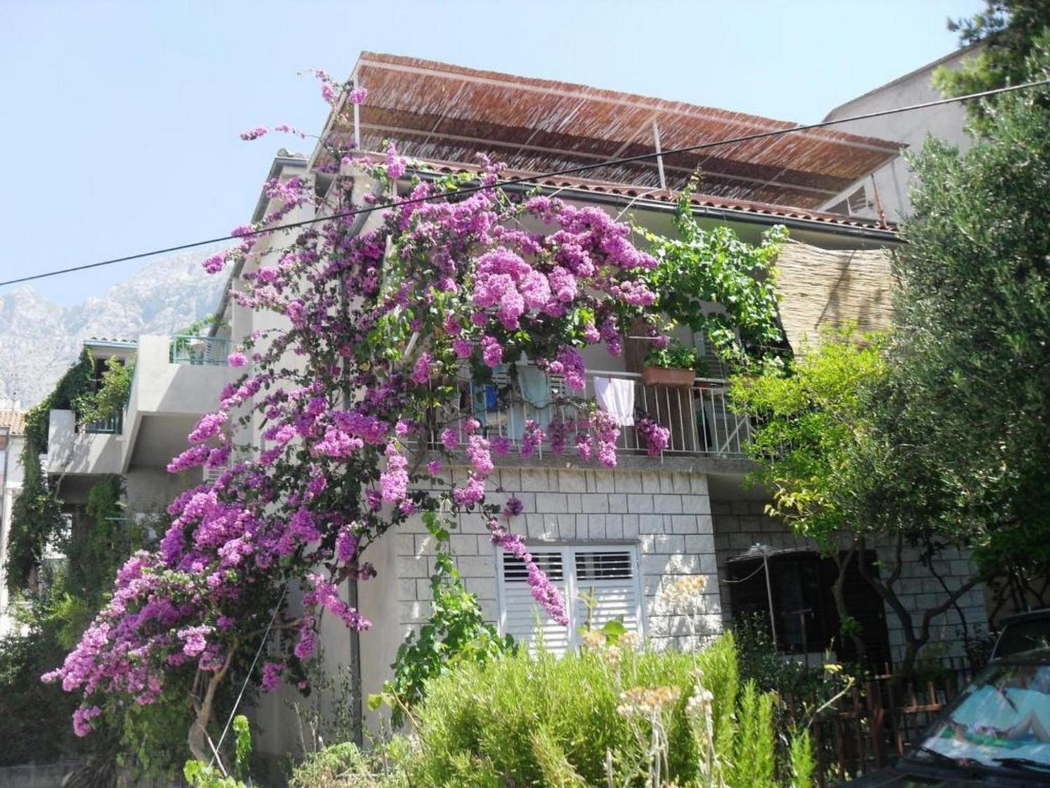 Two Bedroom Apartment with Terrace and Sea View photo 3