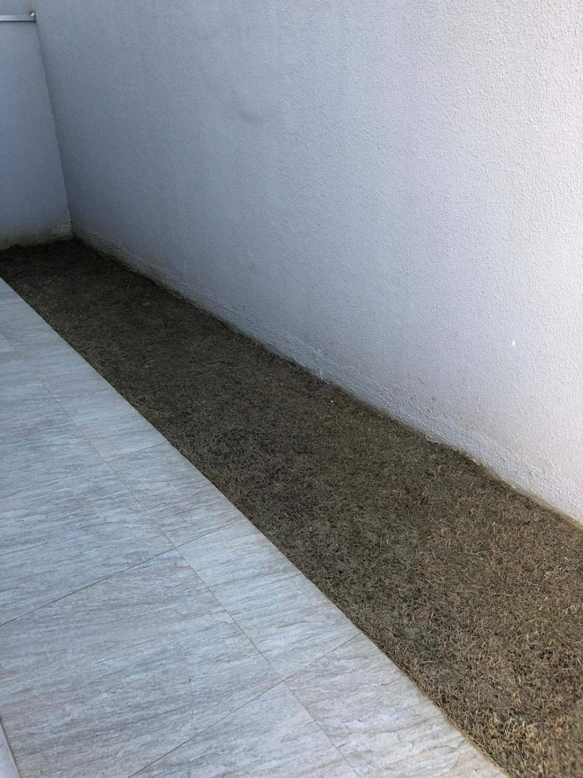 Apartment - Ground Floor - Photo 24