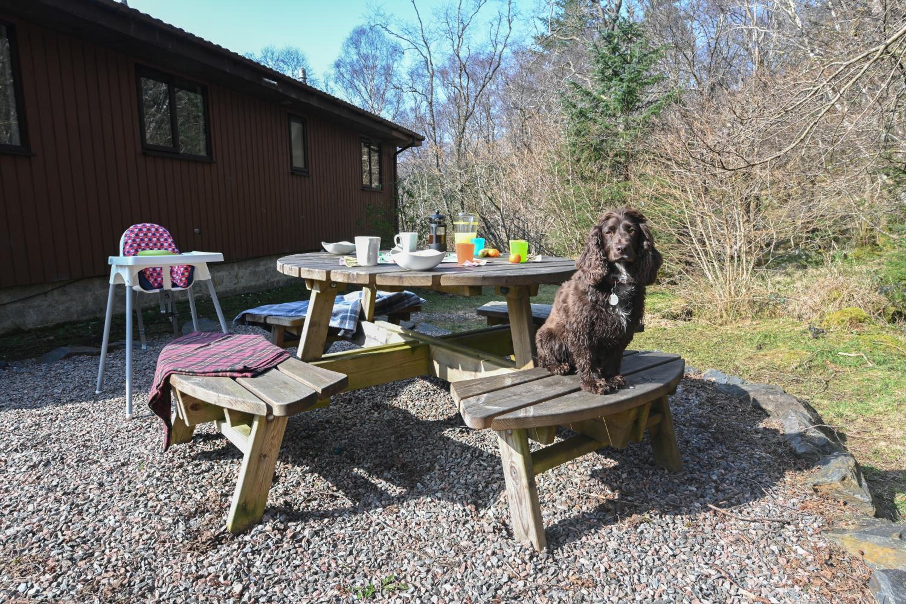 Three-Bedroom Lodge - Photo 23