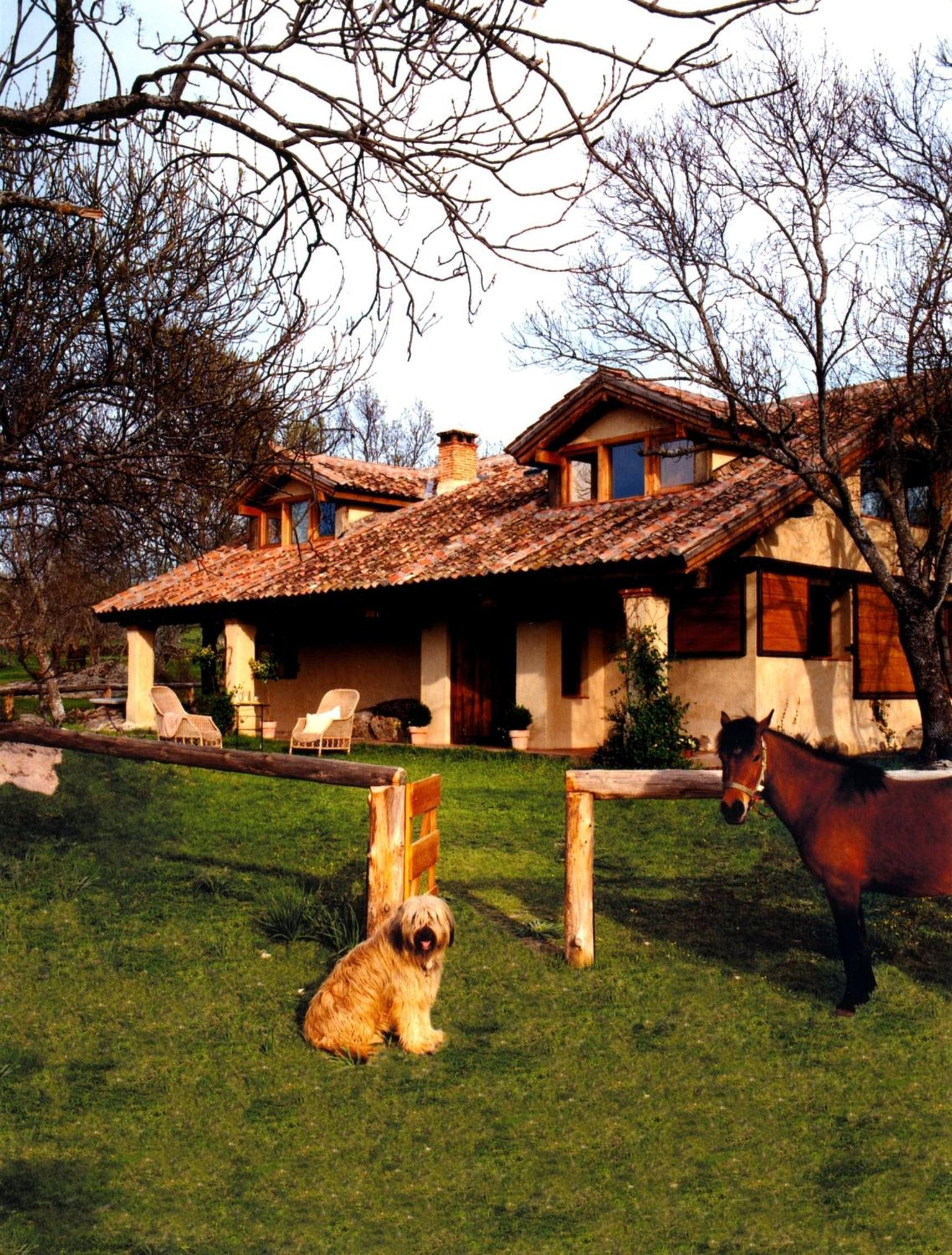 Vacation Home photo 3
