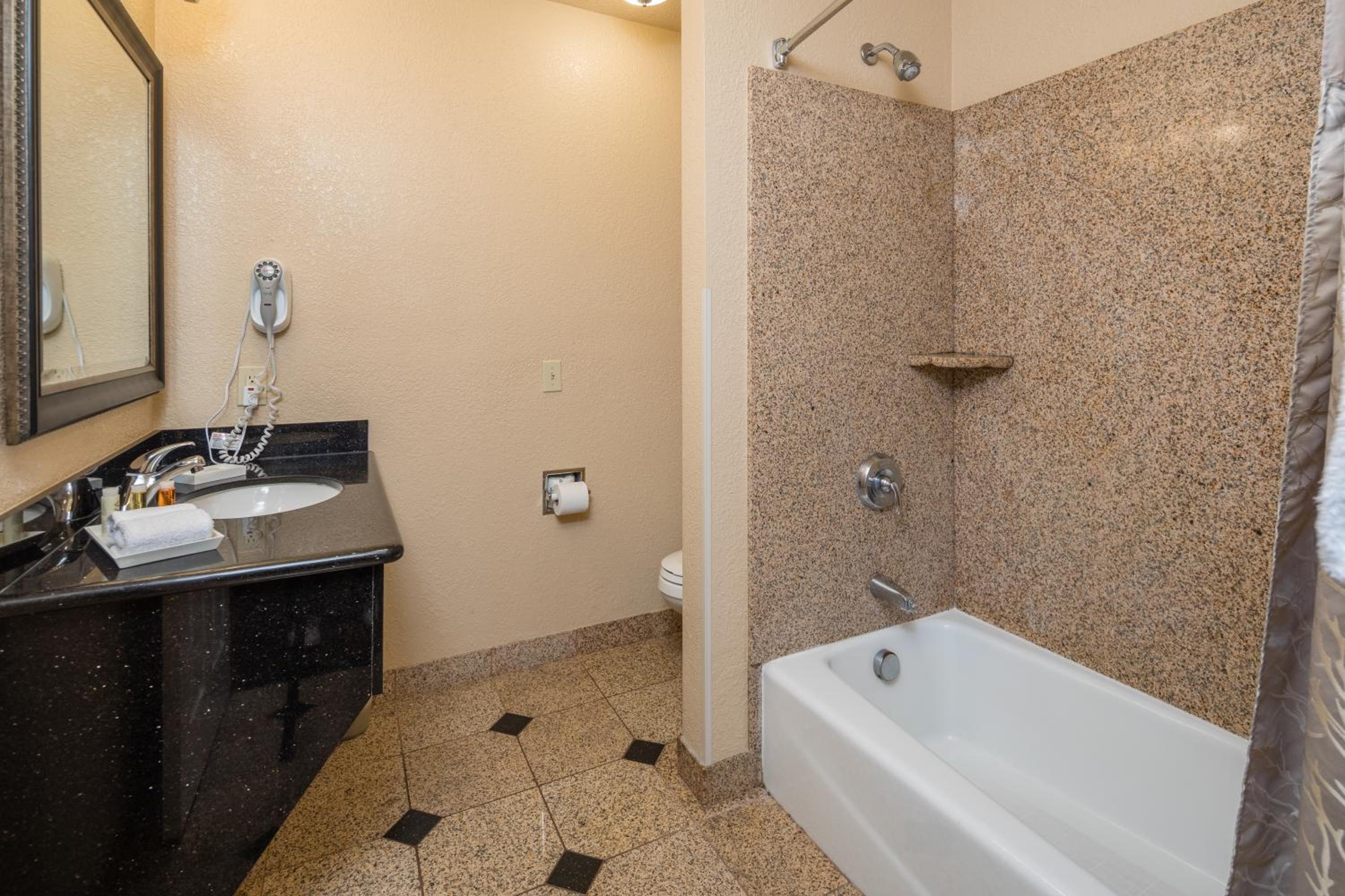 King Suite - Photo 9