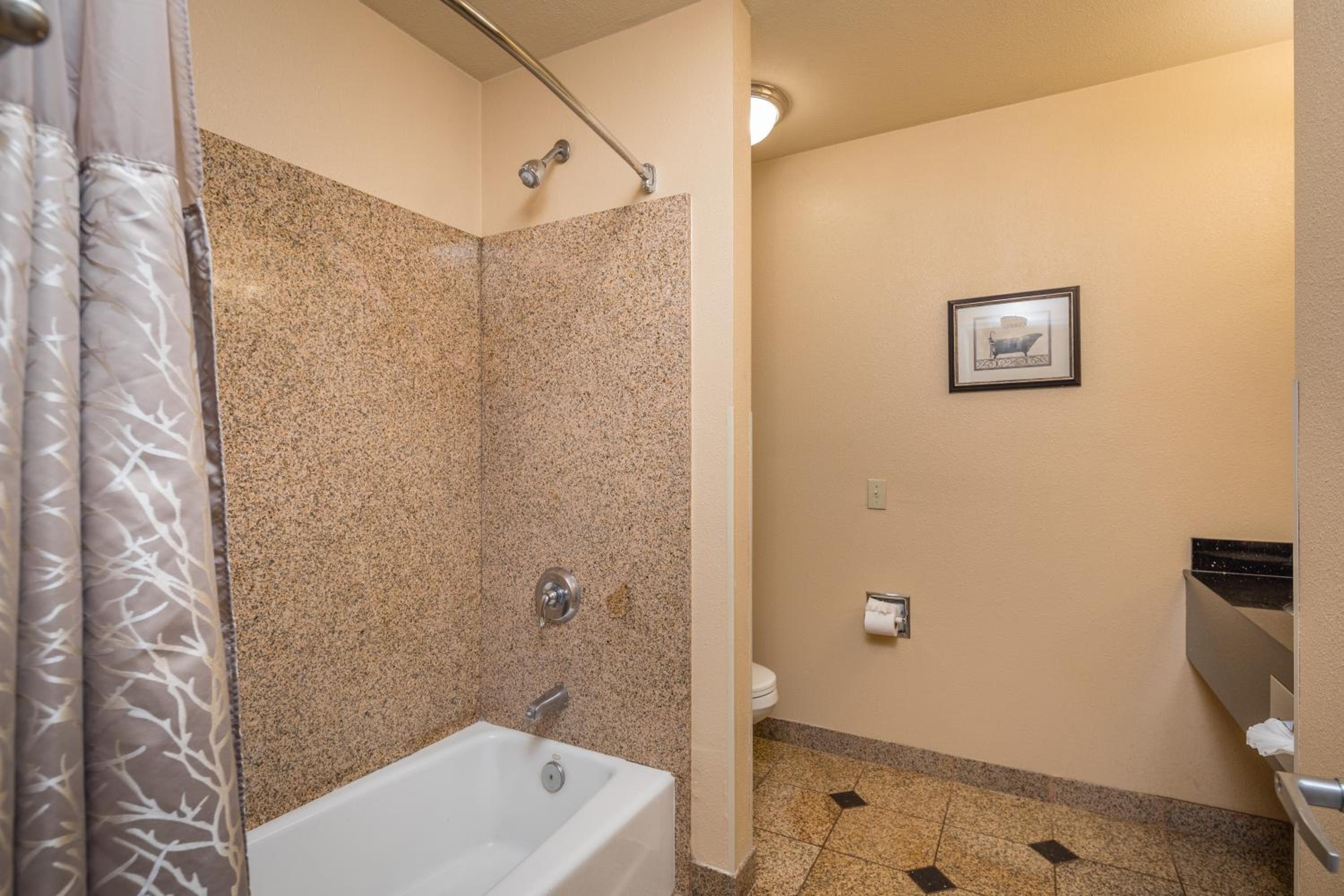 King Suite - Photo 10