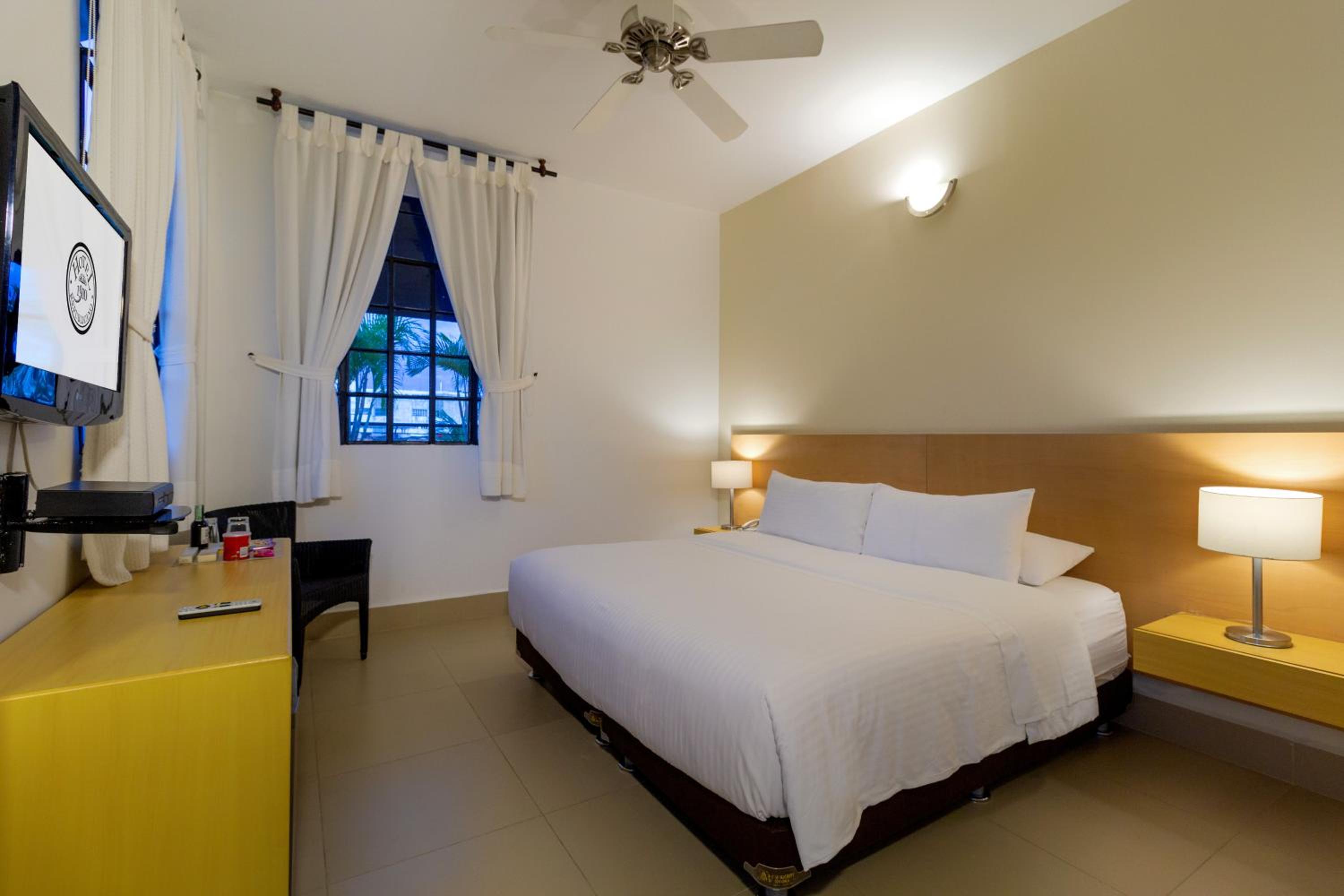 King Room photo 1